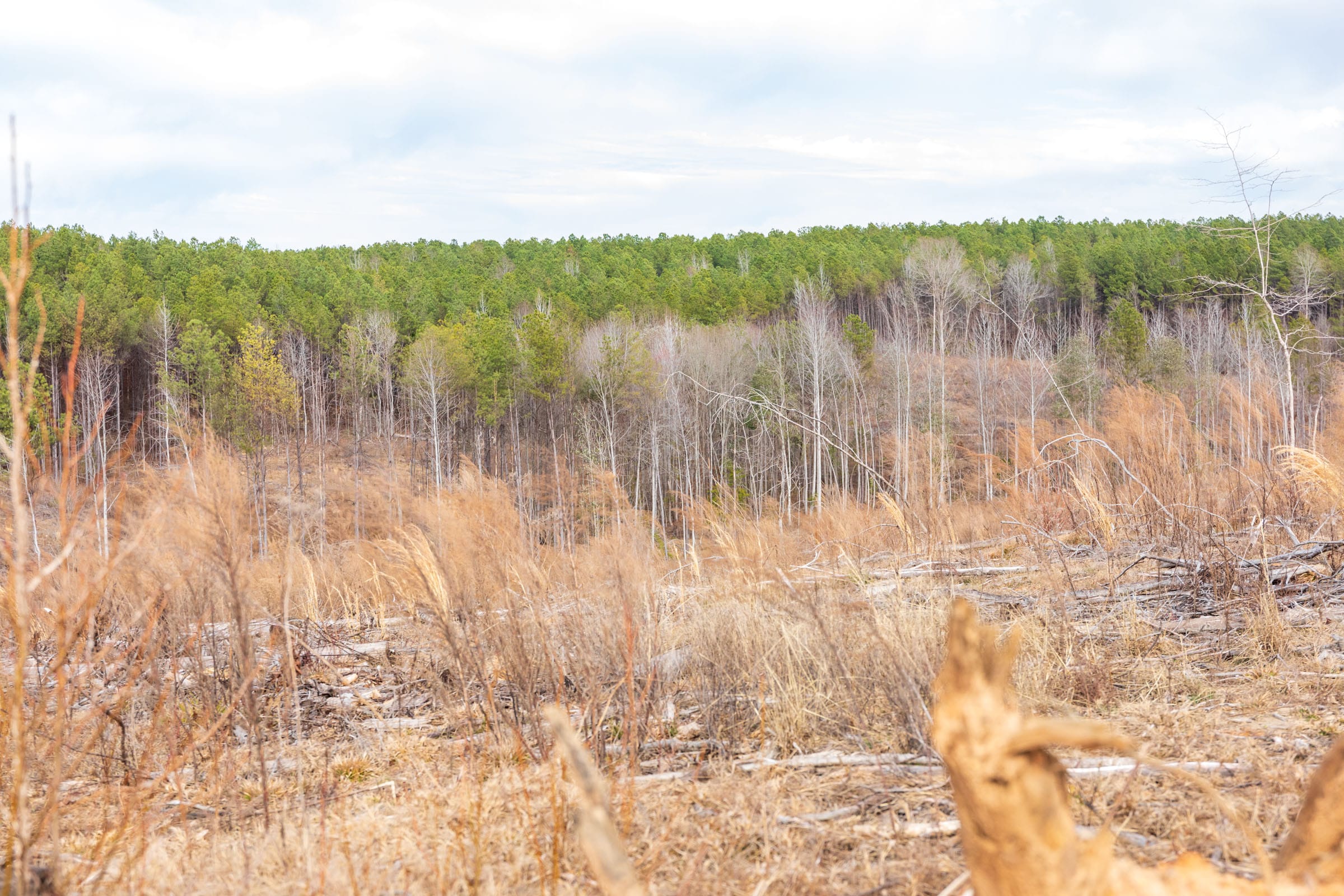 Fairview Hills Tract 6 photo 8