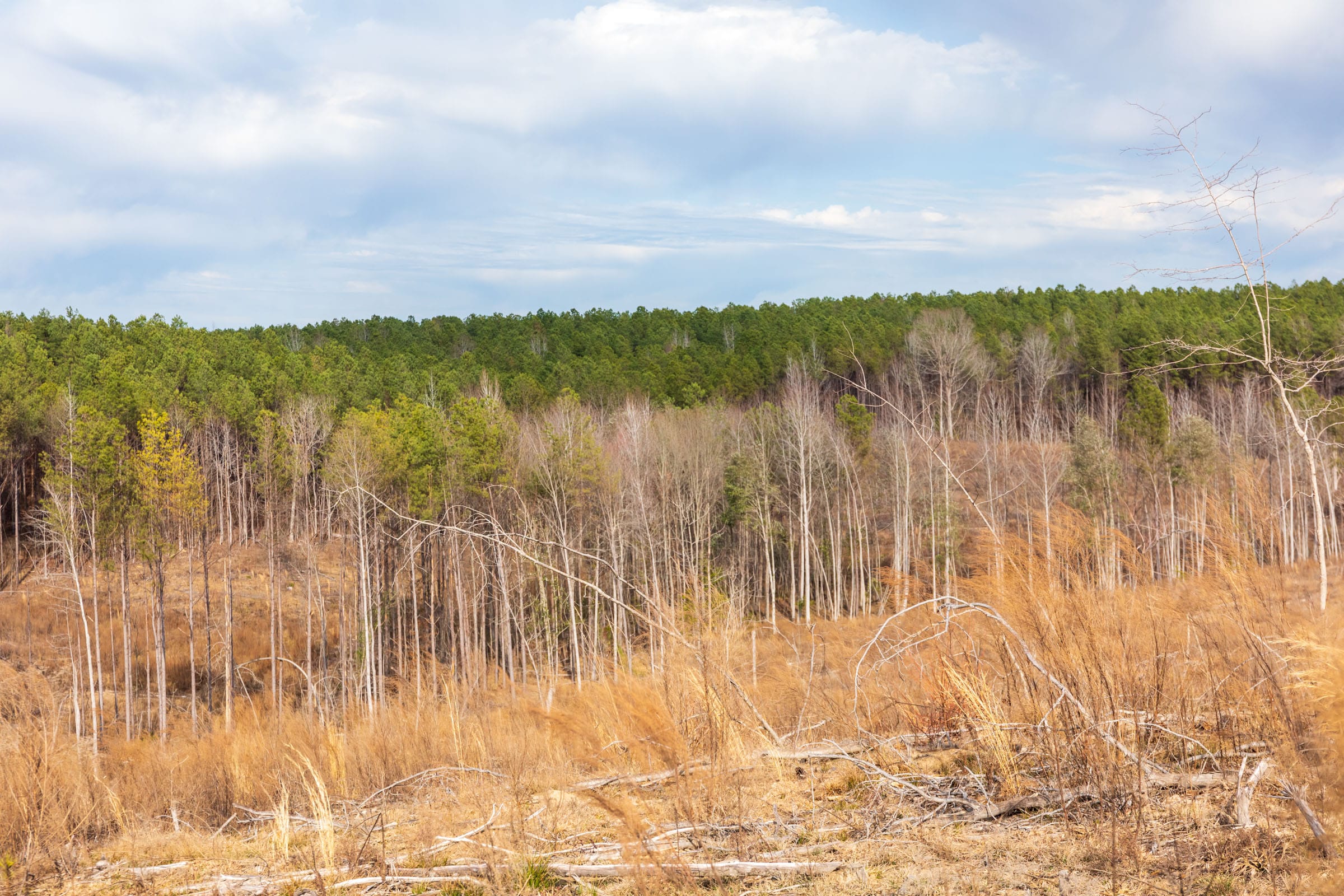 Fairview Hills Tract 6 photo 9