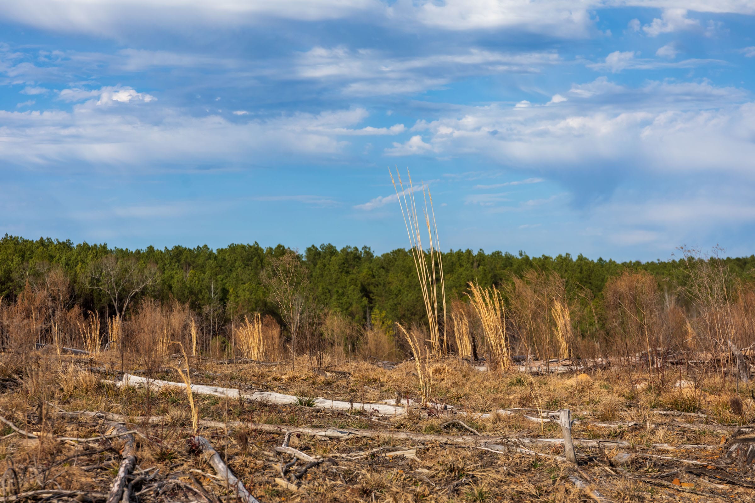 Fairview Hills Tract 6 photo 14
