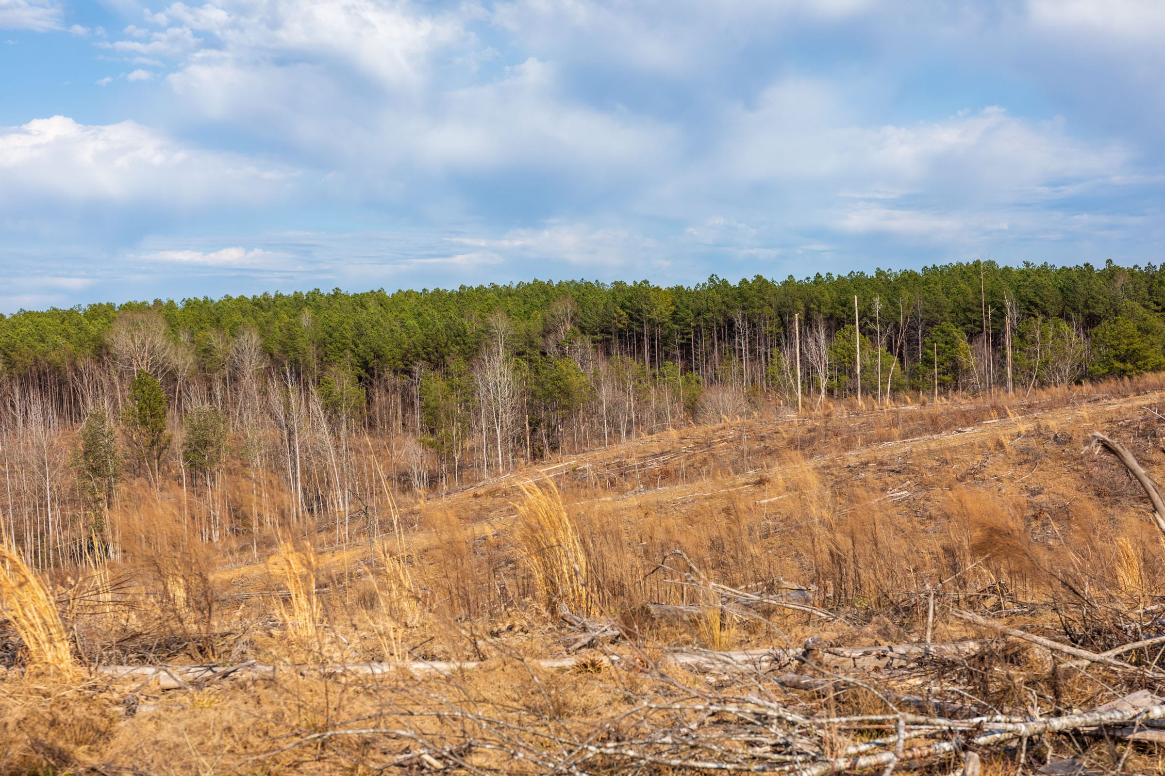 Fairview Hills Tract 6 photo 15
