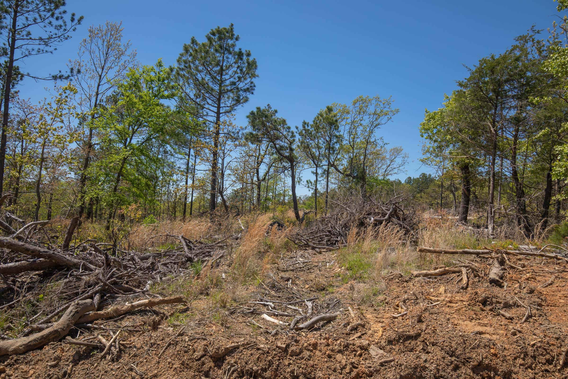 Eagle’s Nest Tract 9 photo 3