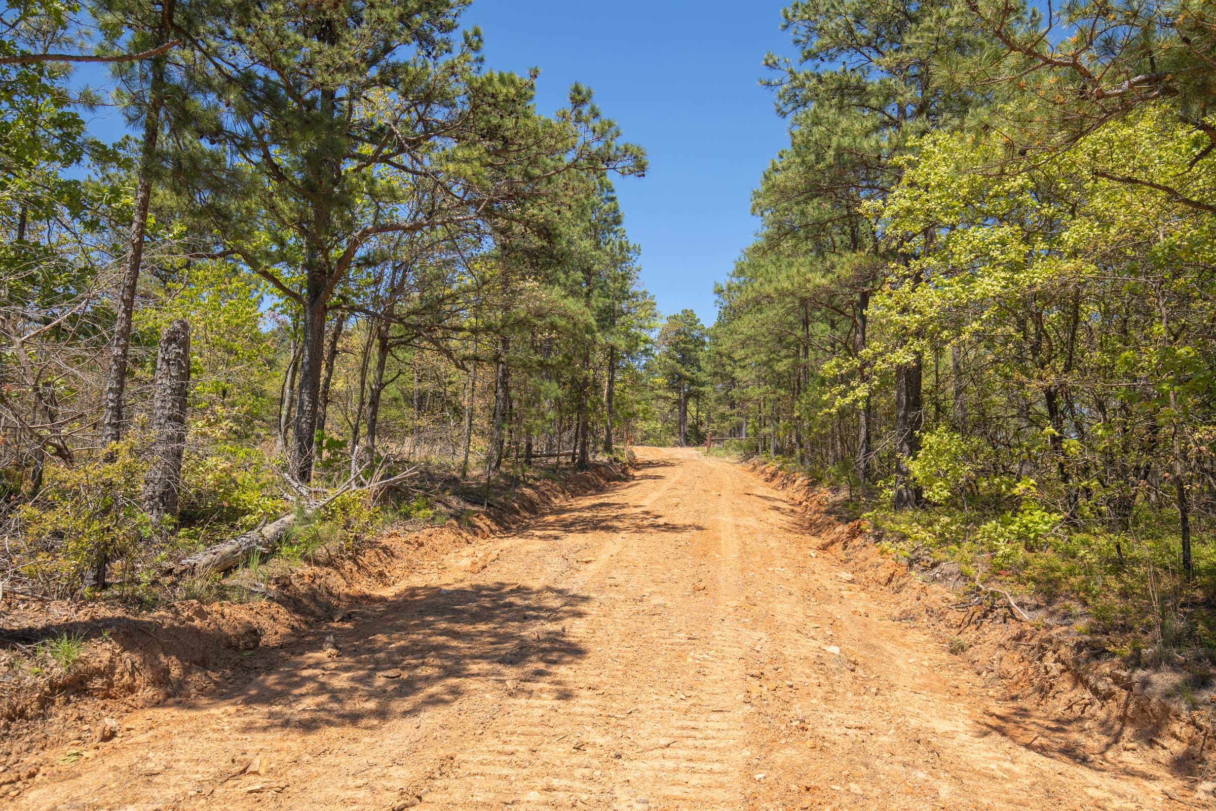 Eagle’s Nest Tract 9 photo 2