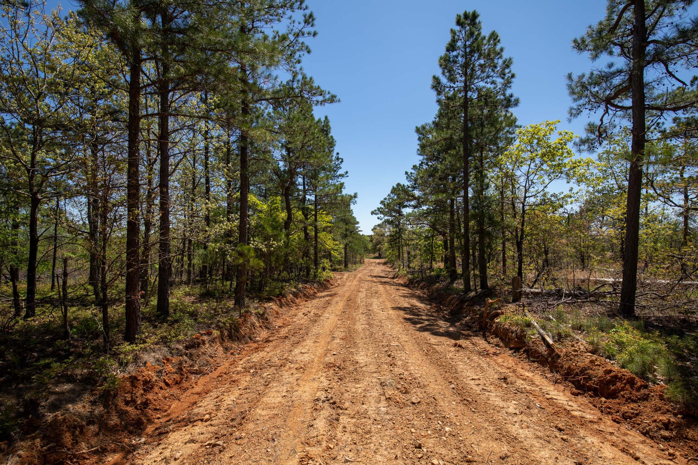 Eagle’s Nest Tract 9 photo 6