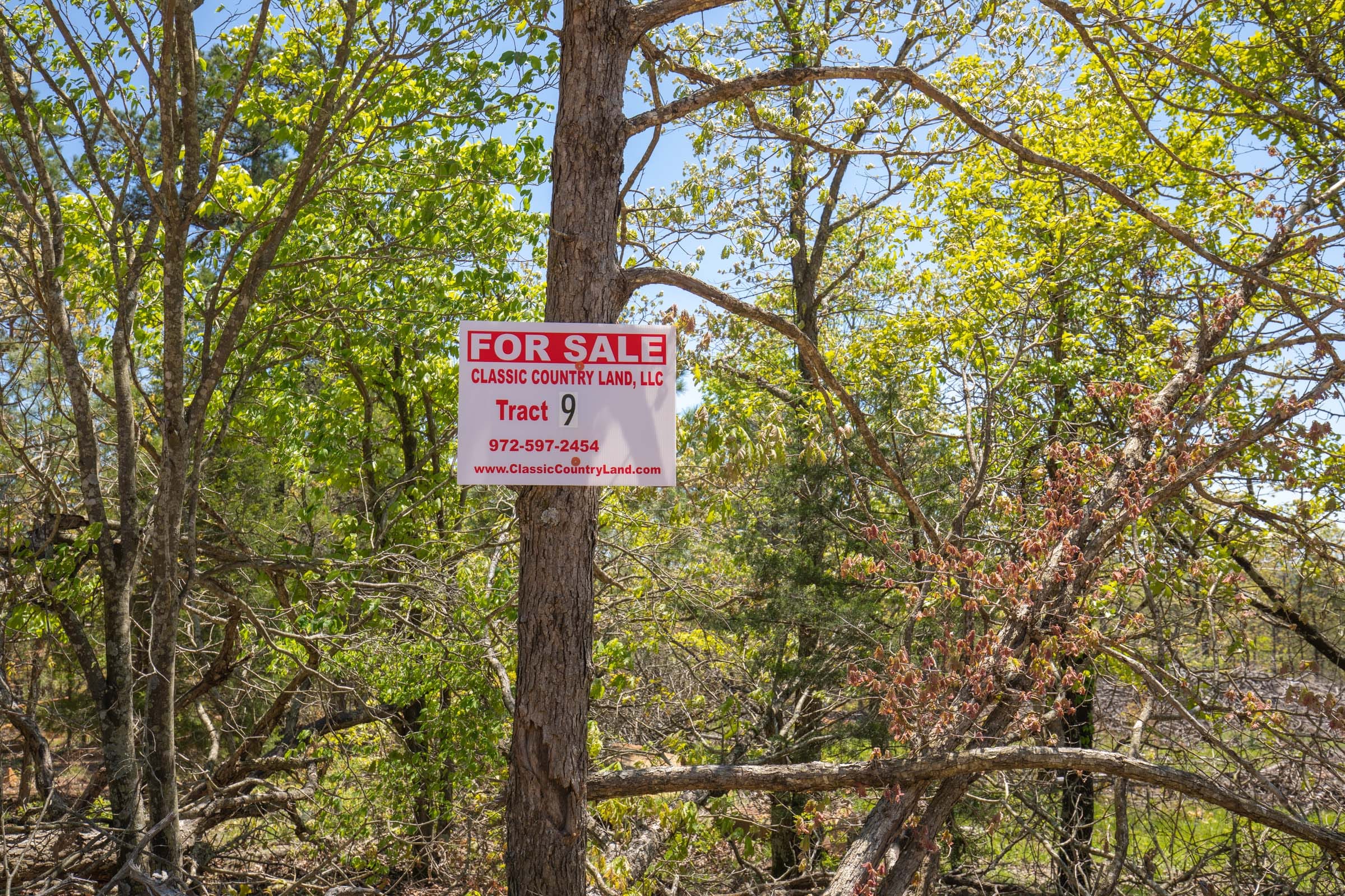 Eagle’s Nest Tract 9 photo 1