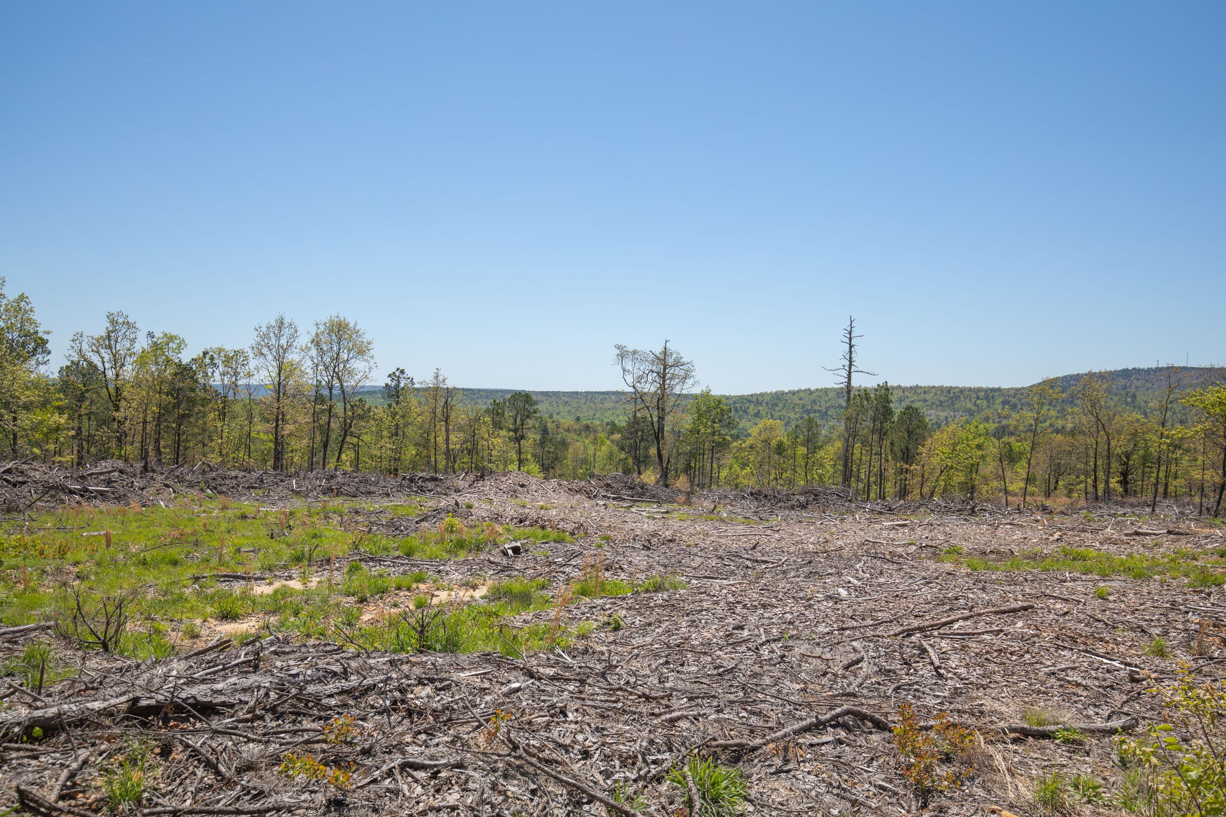 Eagle’s Nest Tract 9 photo 5