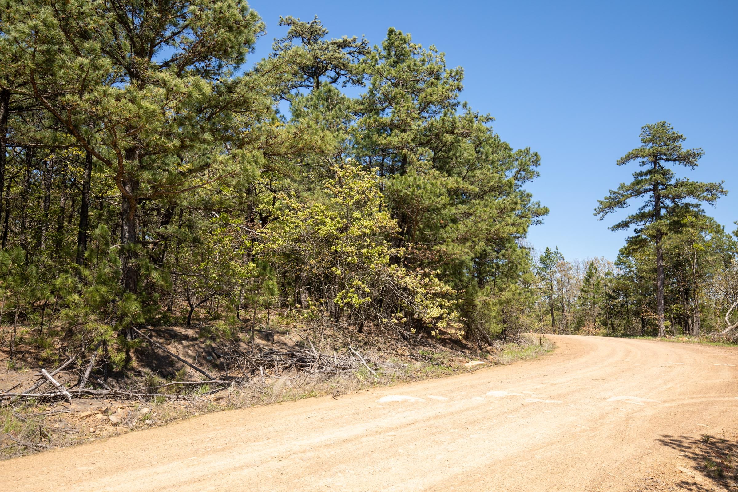 Eagle’s Nest Tract 9 photo 7