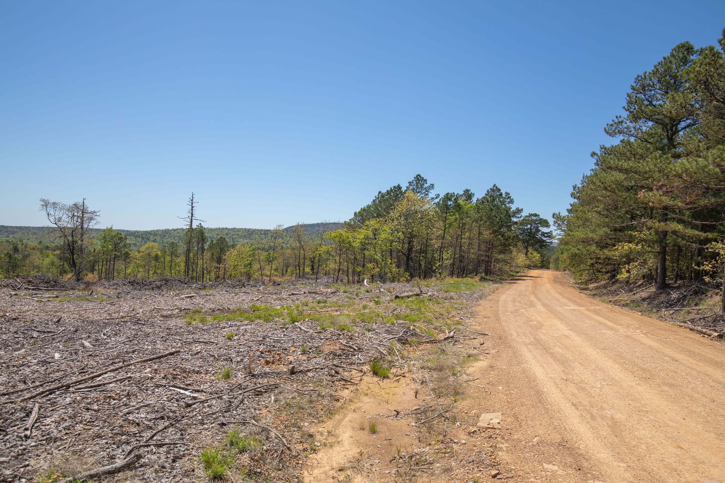 Eagle’s Nest Tract 9 photo 8