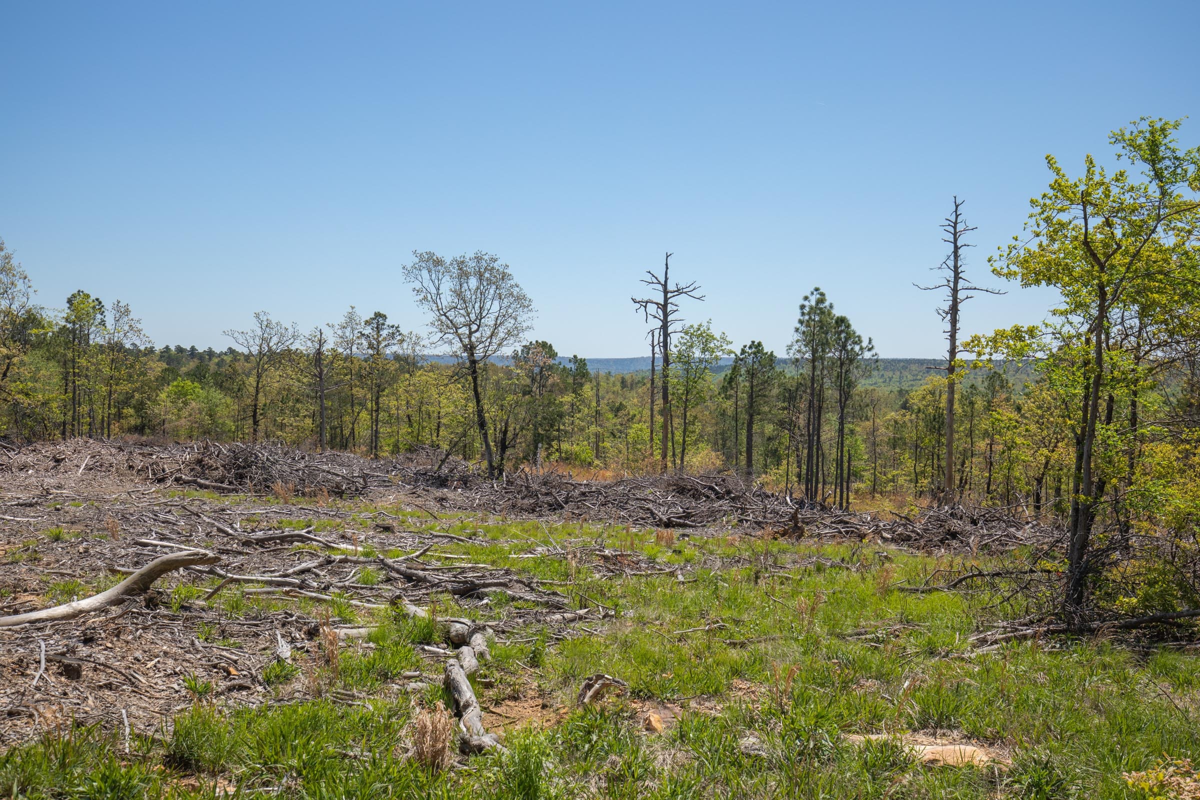 Eagle’s Nest Tract 9 photo 9