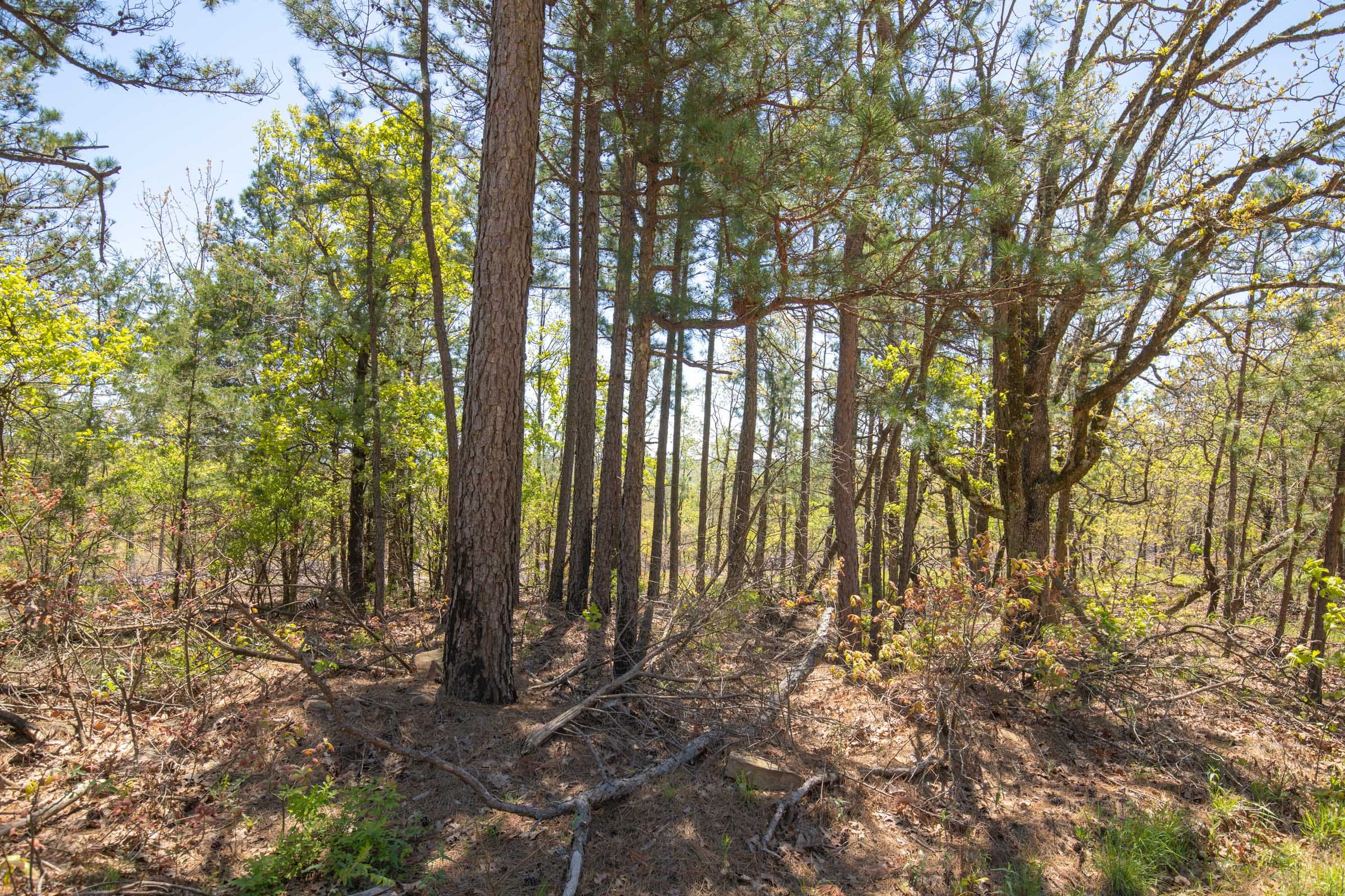 Eagle’s Nest Tract 9 photo 10