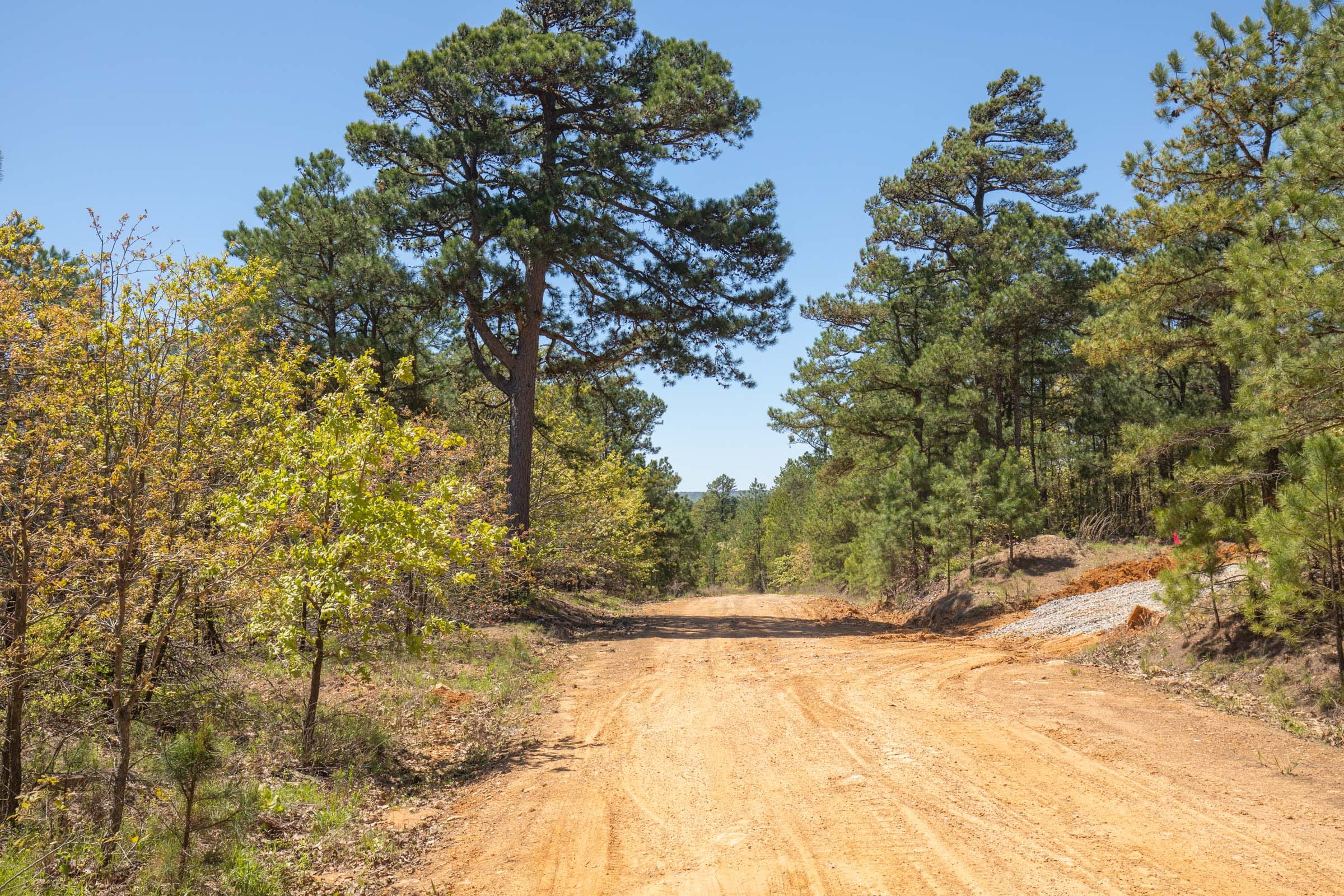 Eagle’s Nest Tract 9 photo 11