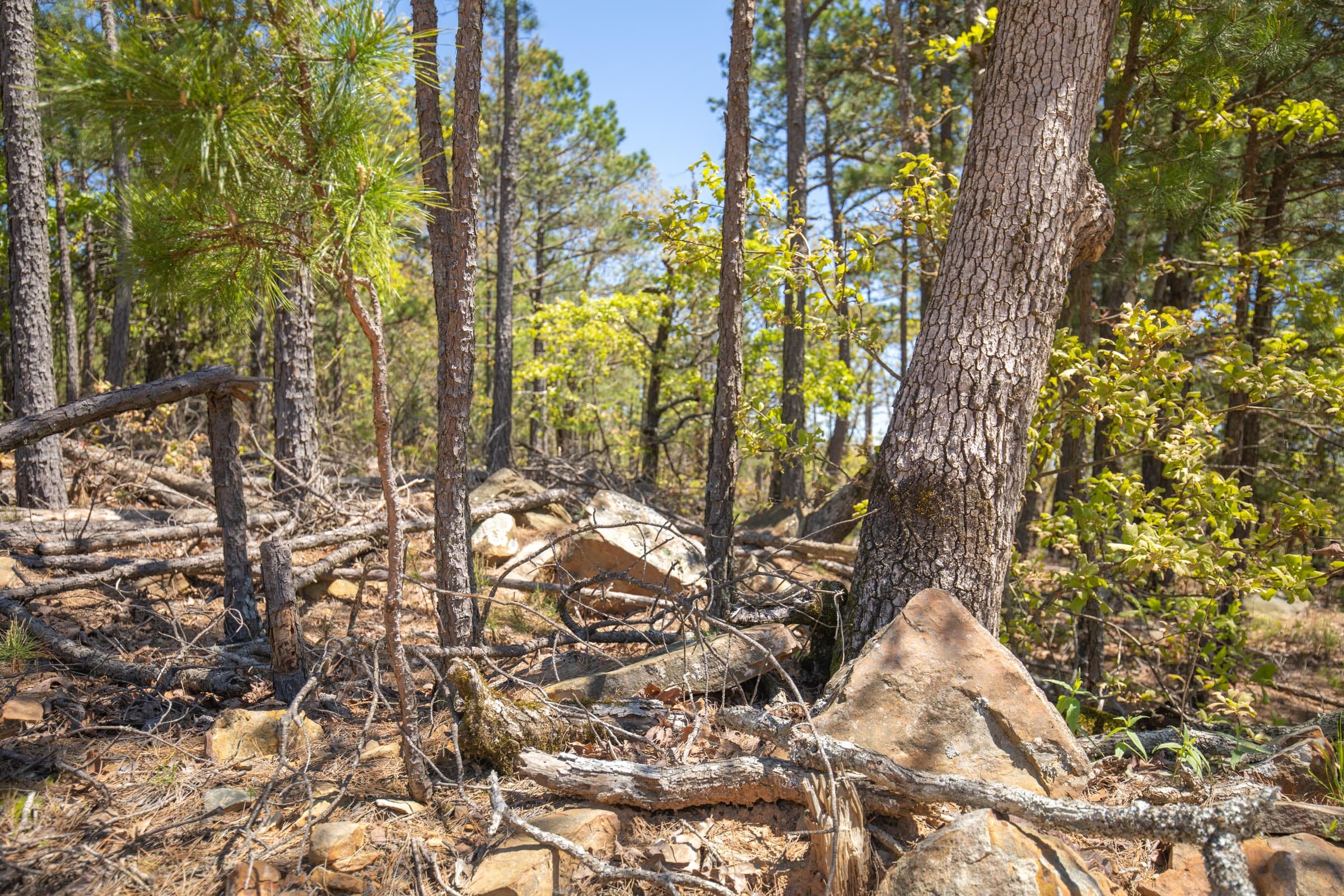 Eagle’s Nest Tract 9 photo 13