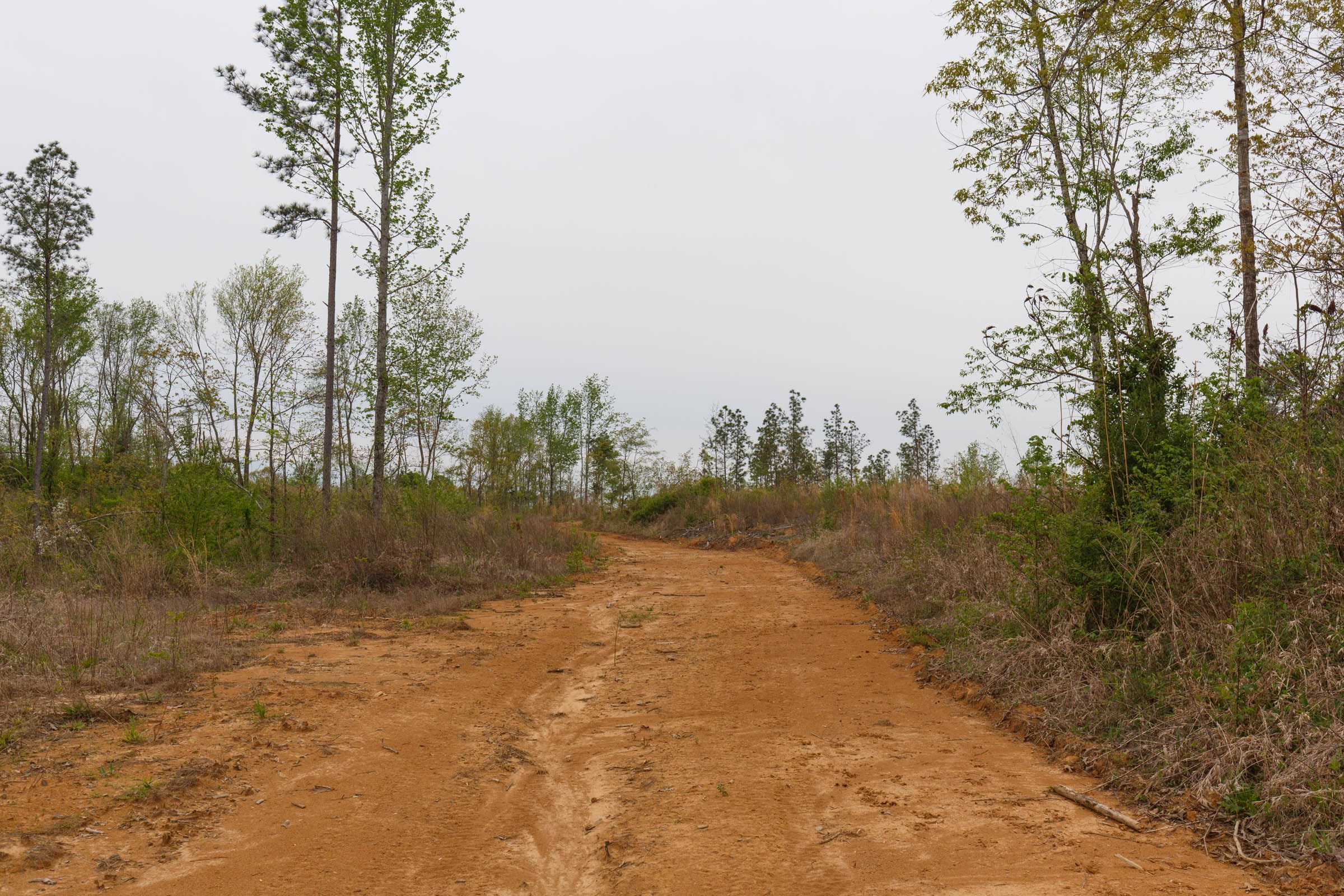 Twin Rivers Tract 26 photo 2