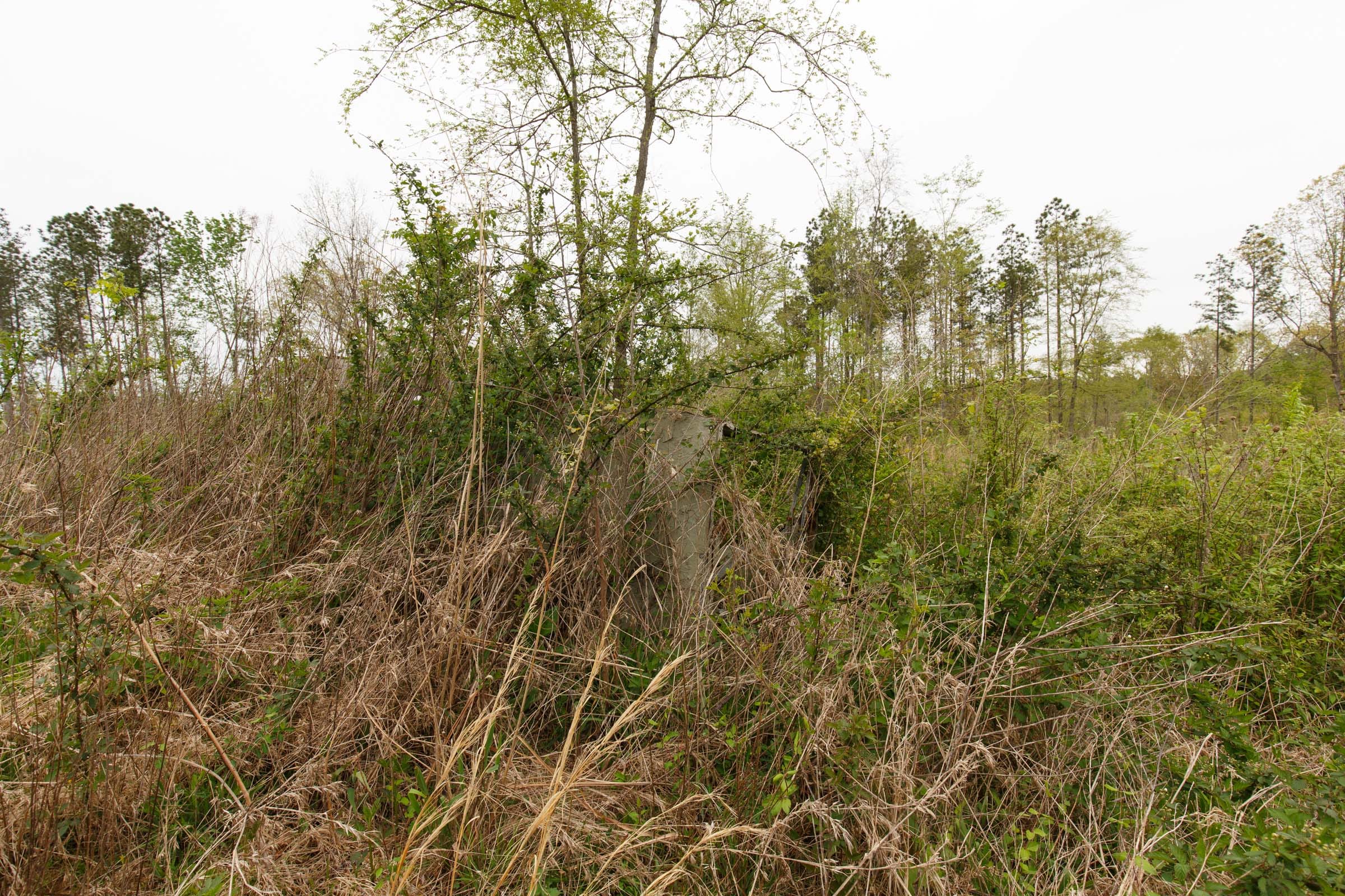 Twin Rivers Tract 26 photo 5