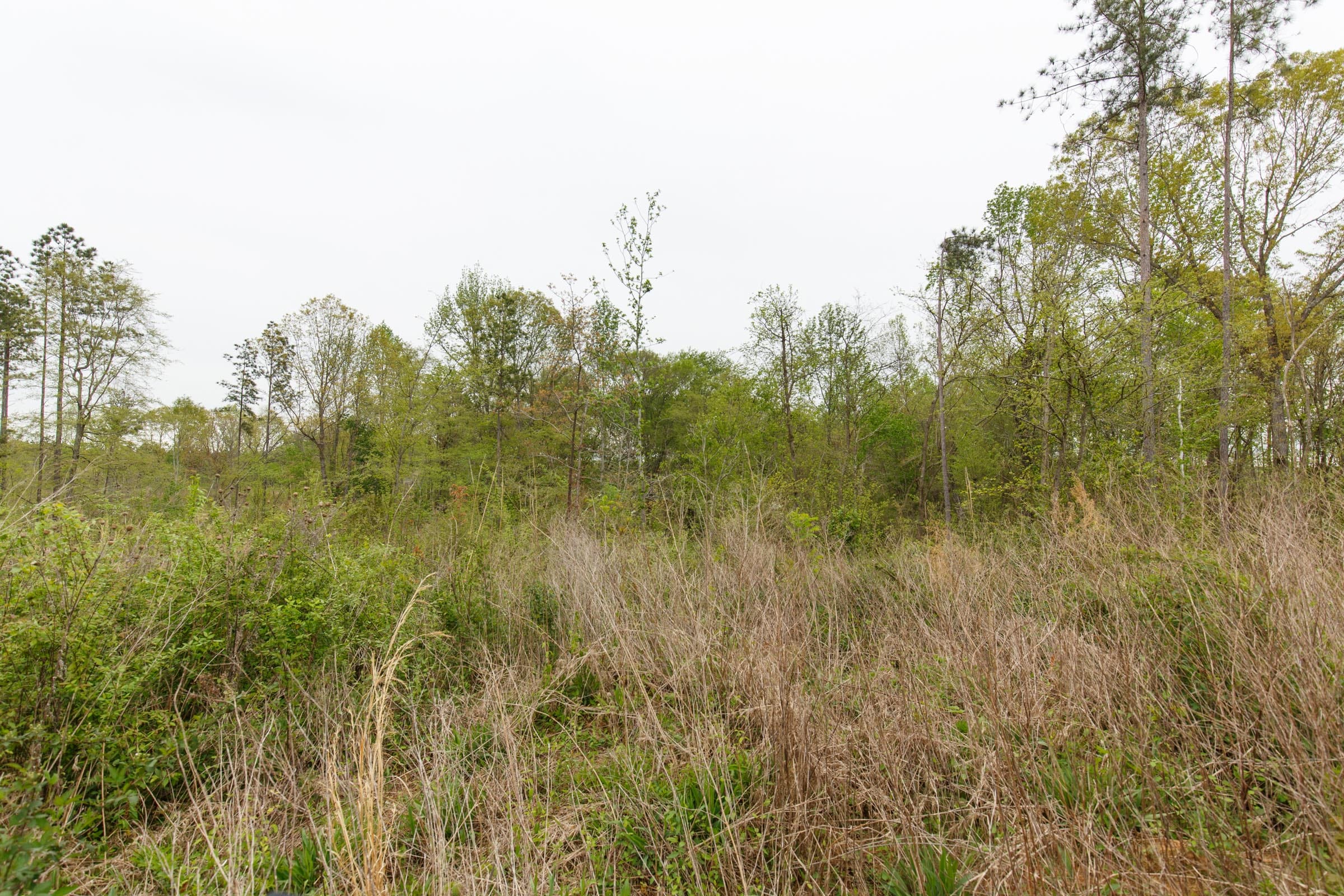 Twin Rivers Tract 26 photo 4
