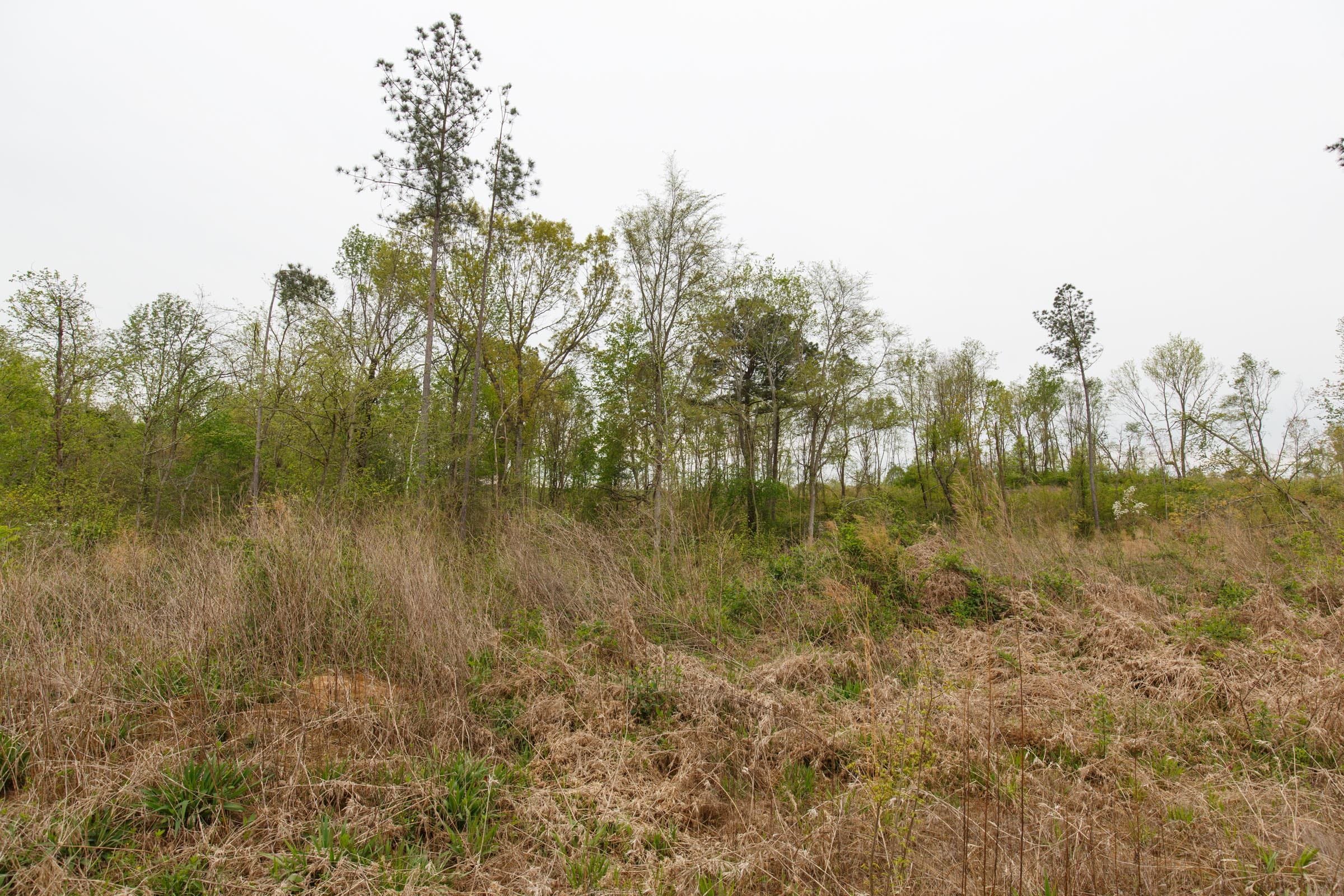 Twin Rivers Tract 26 photo 3