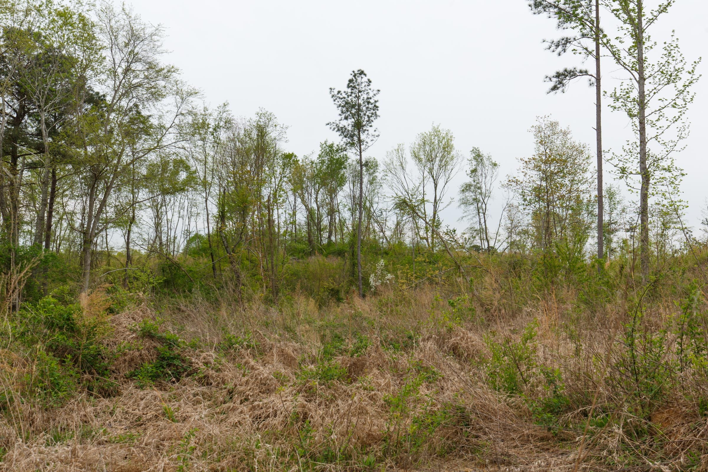 Twin Rivers Tract 26 photo 6