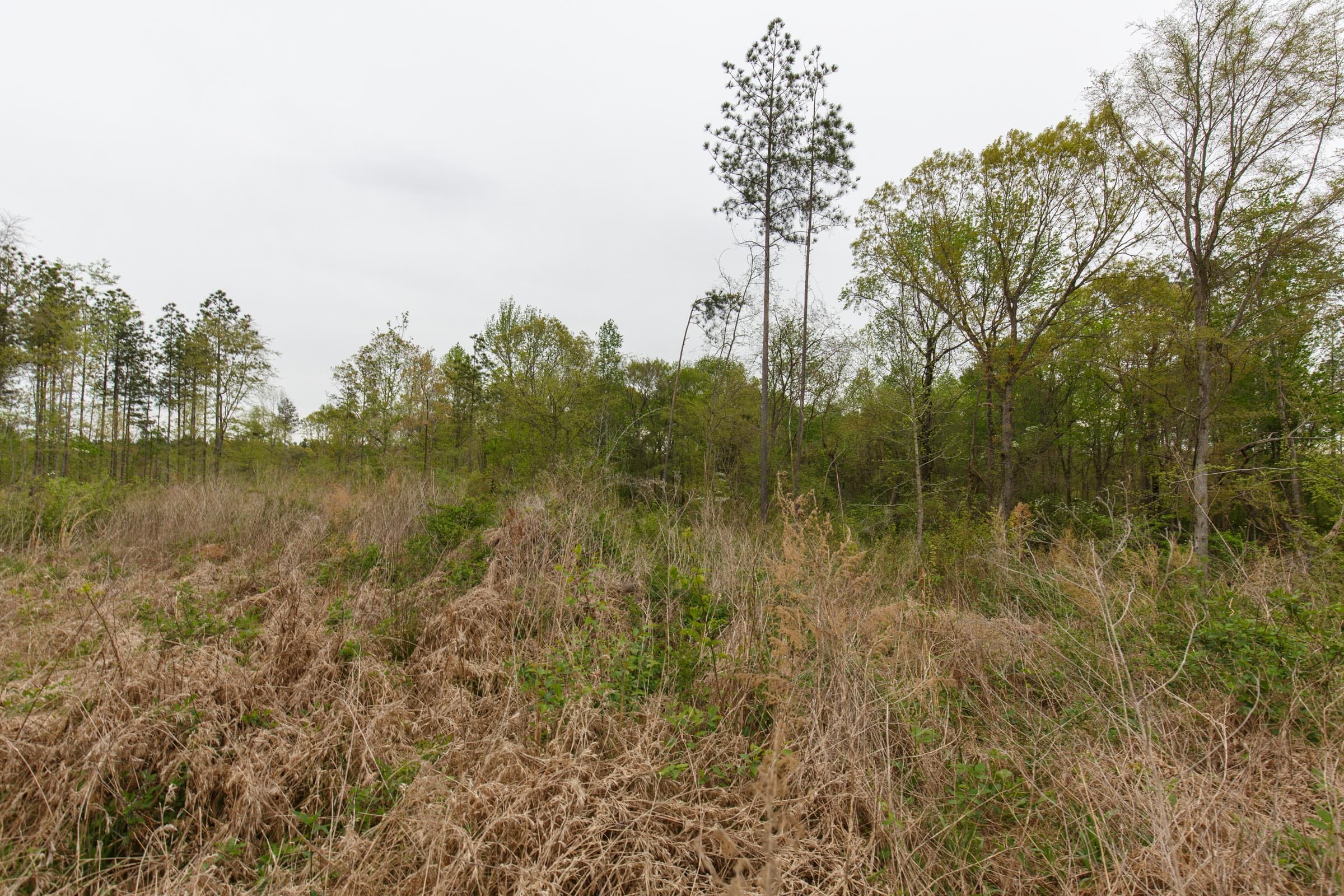 Twin Rivers Tract 26 photo 8