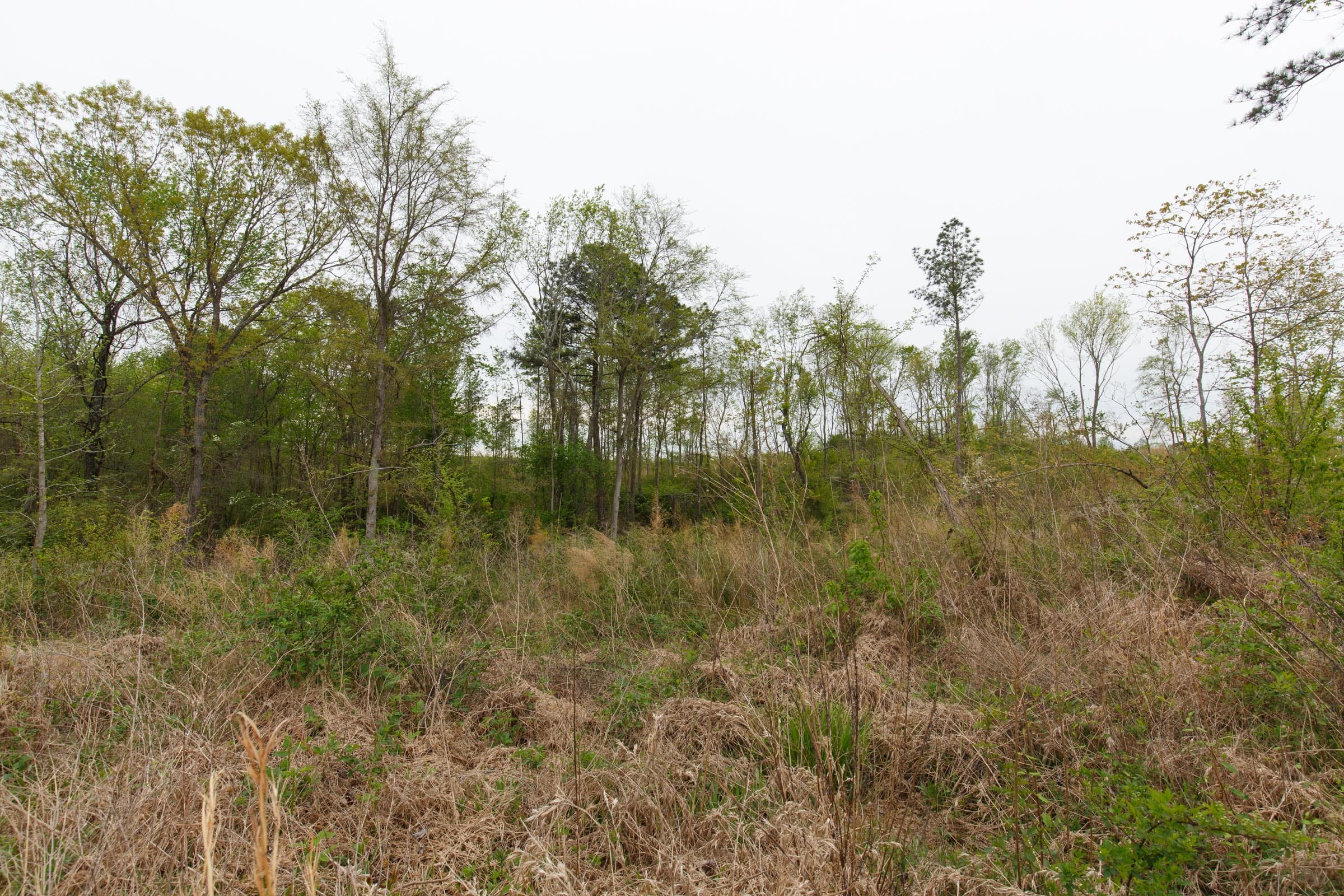Twin Rivers Tract 26 photo 9