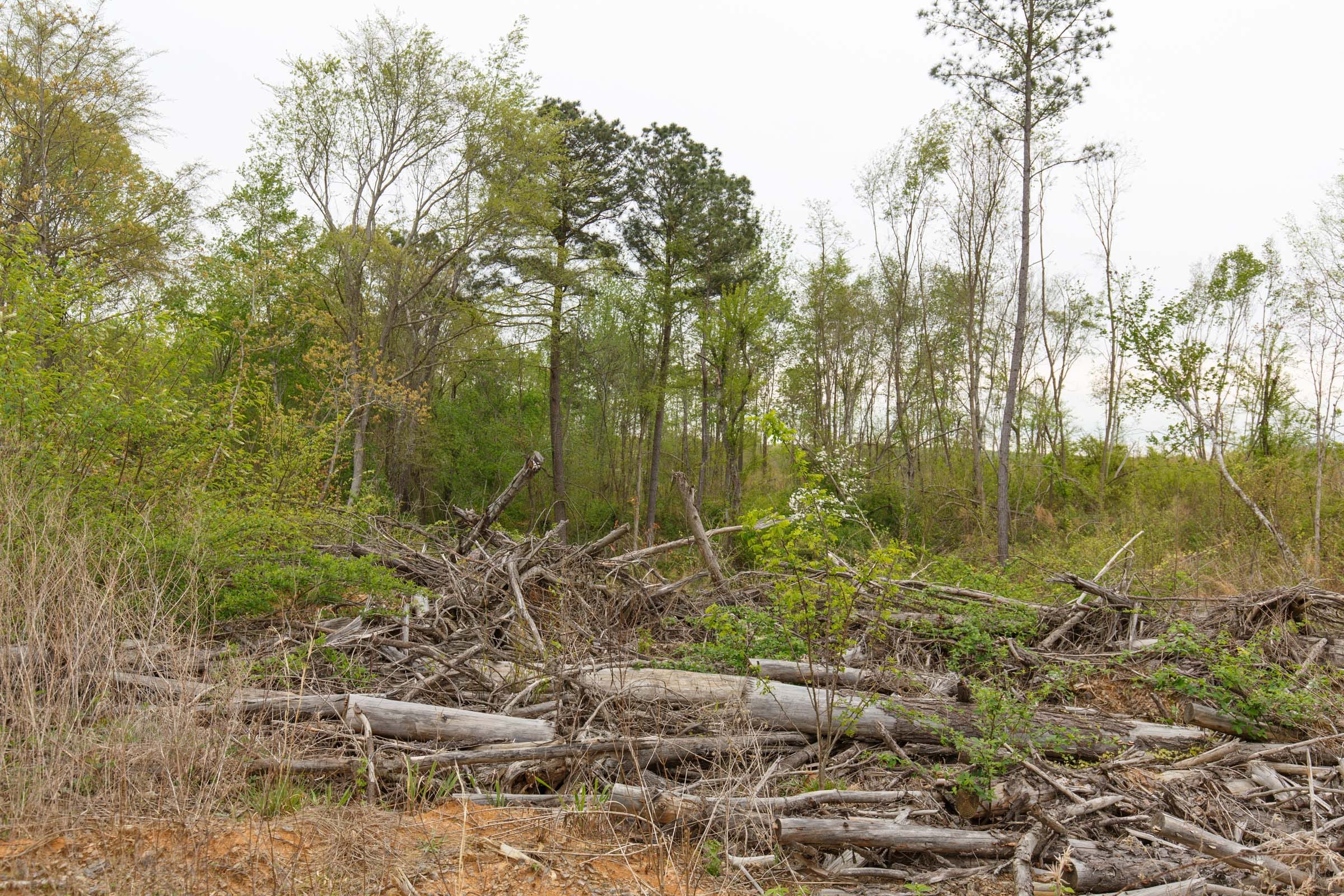 Twin Rivers Tract 26 photo 10