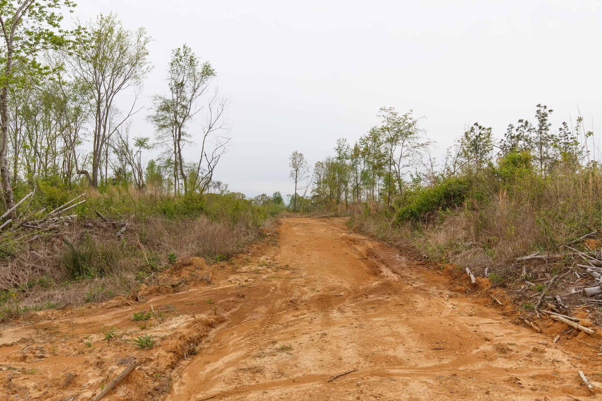 Twin Rivers Tract 26 photo 7