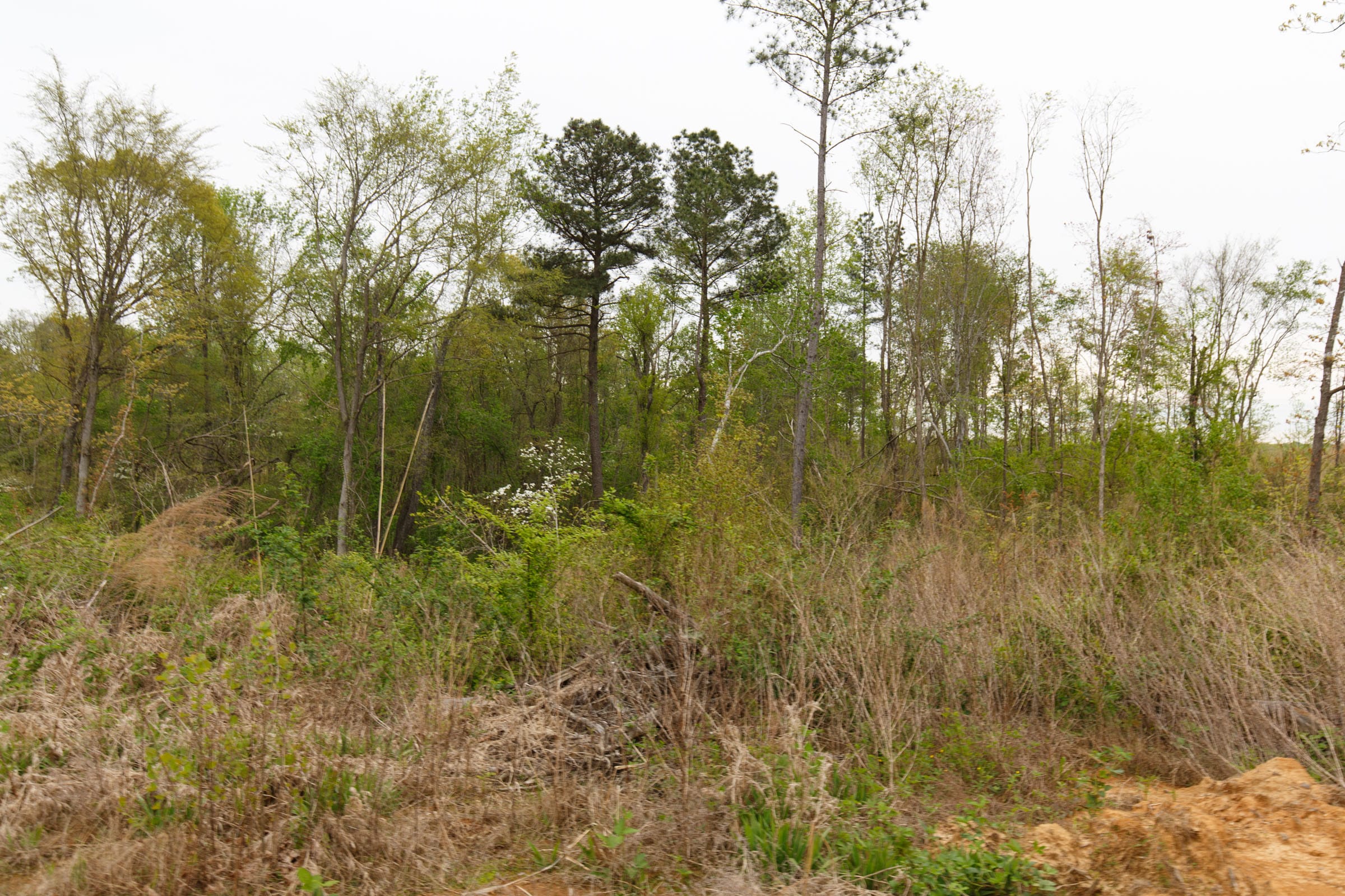 Twin Rivers Tract 26 photo 1