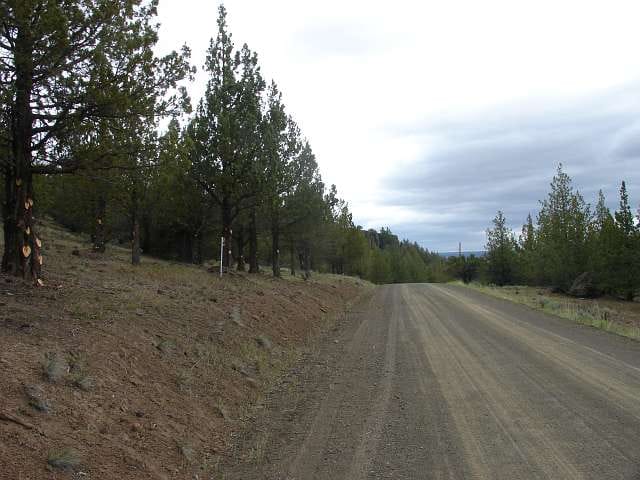 California Pines Tract 37 photo 5