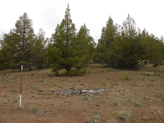 California Pines Tract 37 photo 9