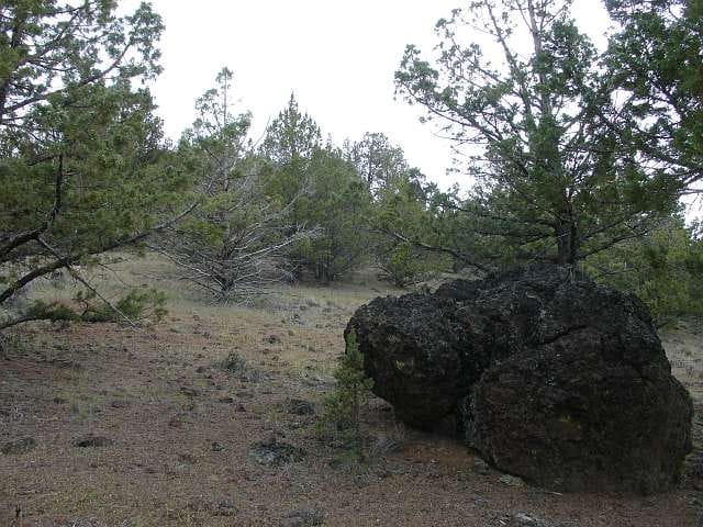 California Pines Tract 37 photo 11