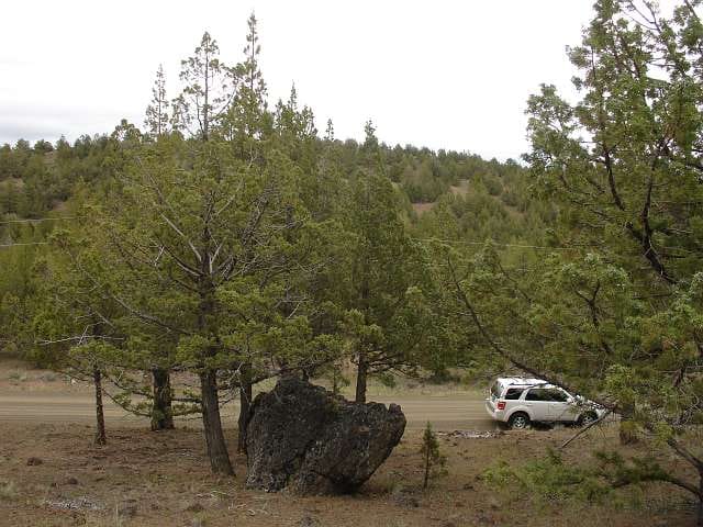 California Pines Tract 37 photo 18