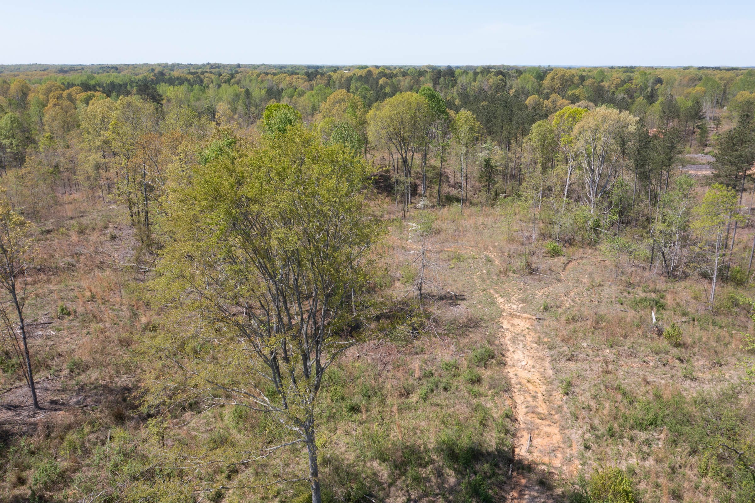 Twin Rivers Tract 8 photo 15