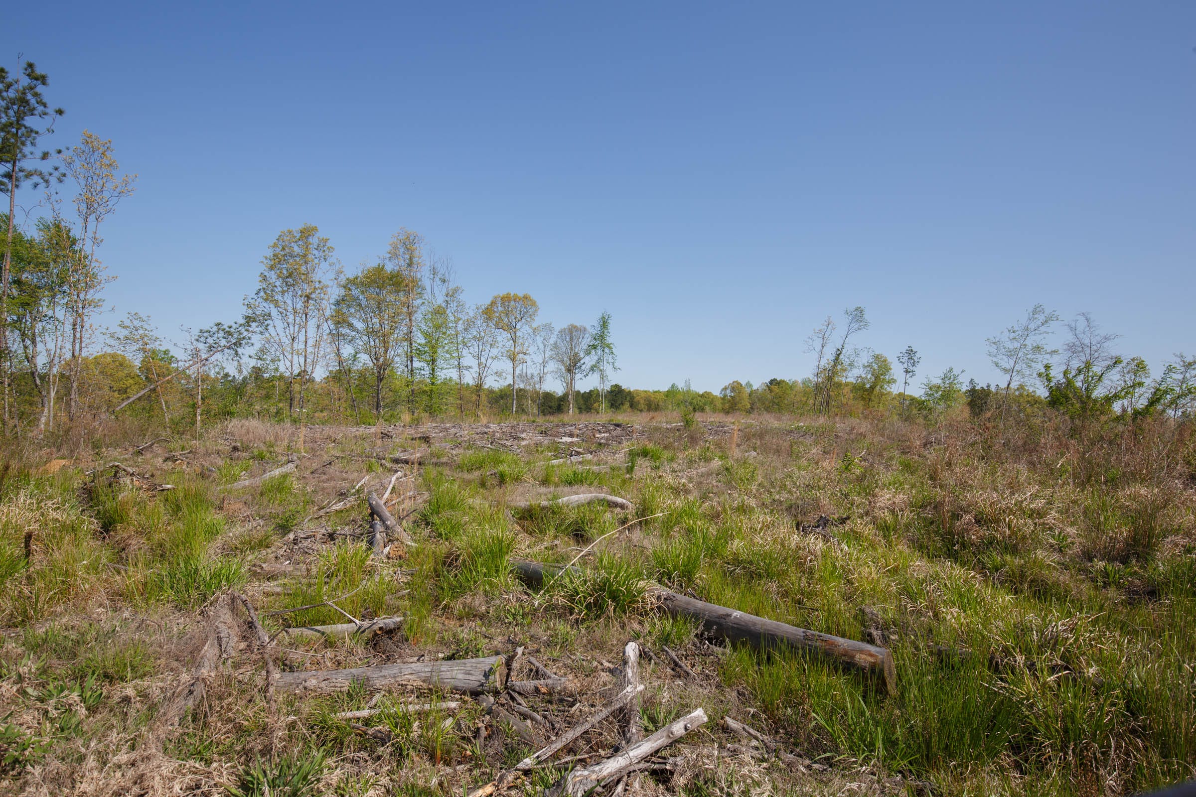 Twin Rivers Tract 8 photo 12