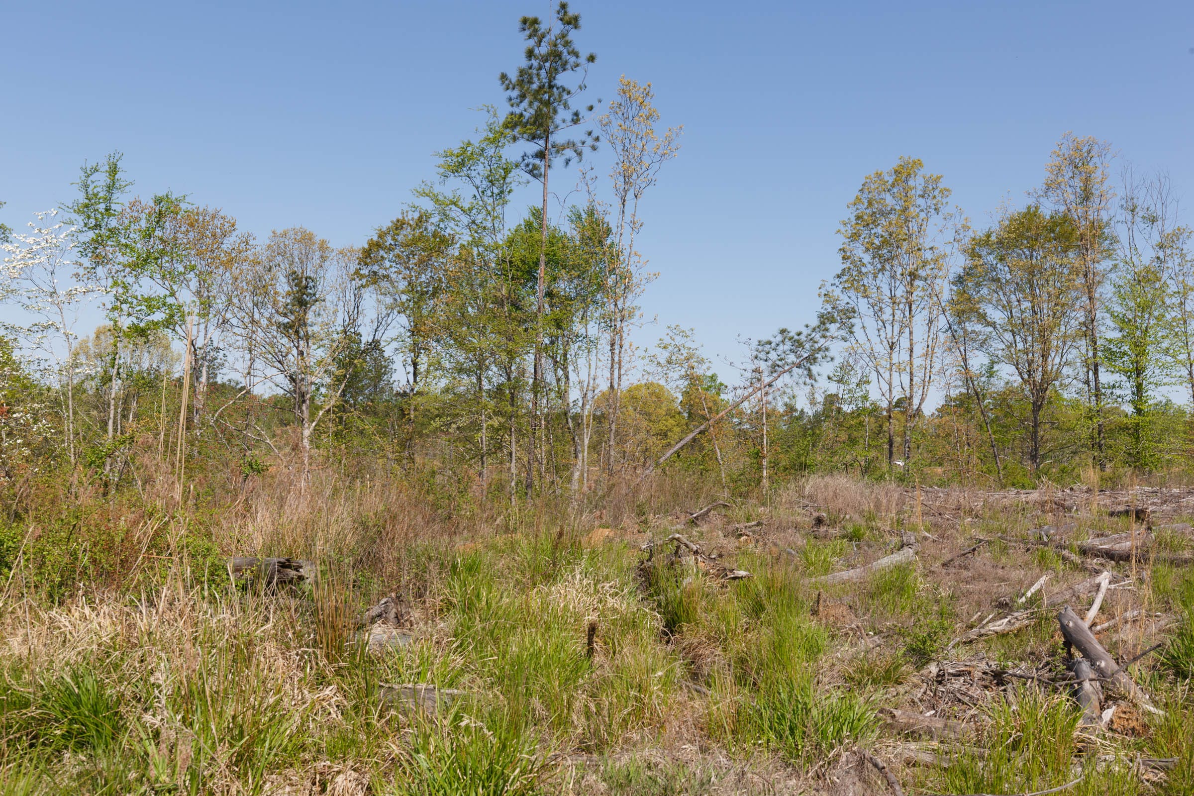 Twin Rivers Tract 8 photo 4