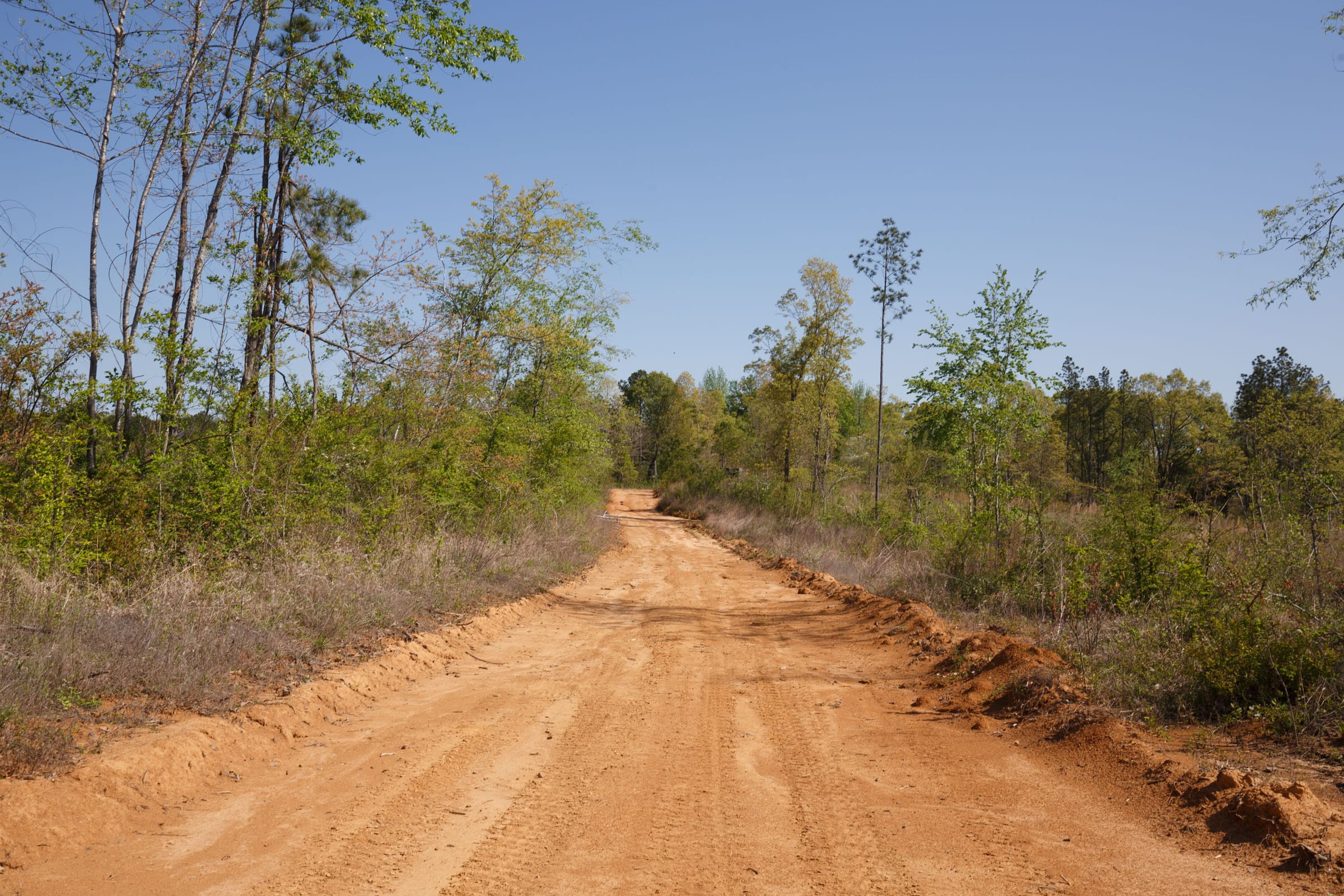 Twin Rivers Tract 8 photo 2