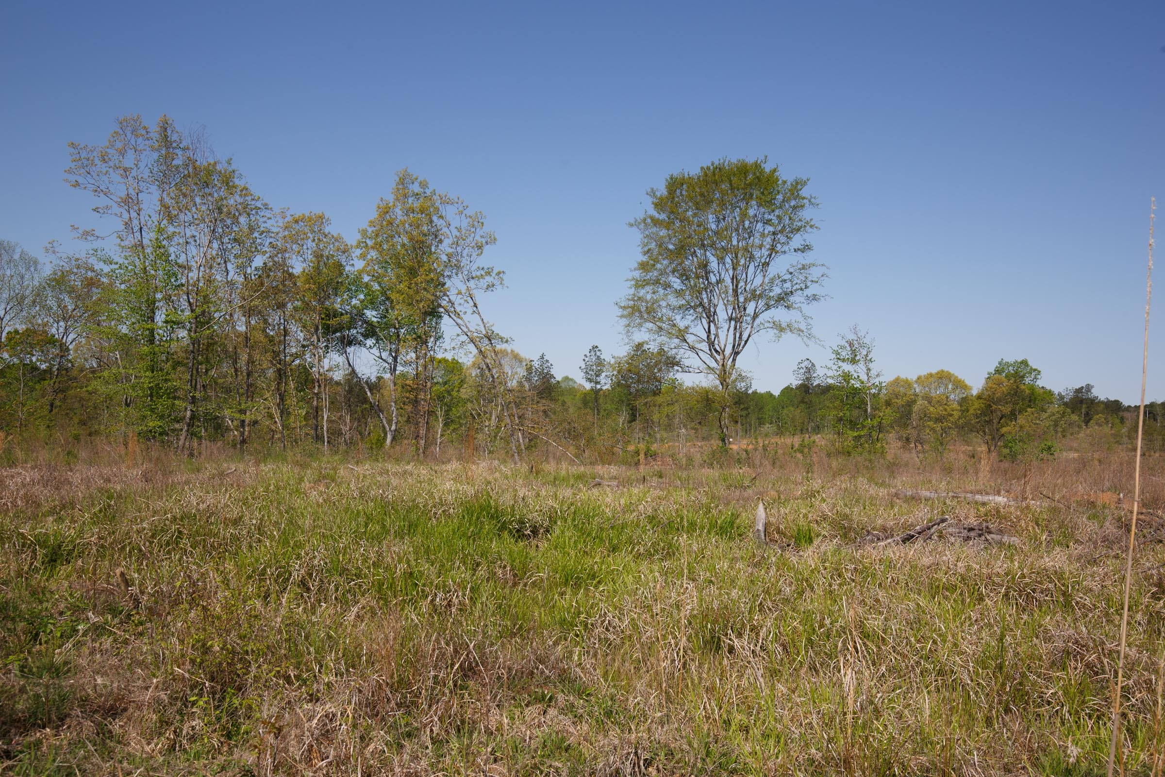 Twin Rivers Tract 8 photo 14