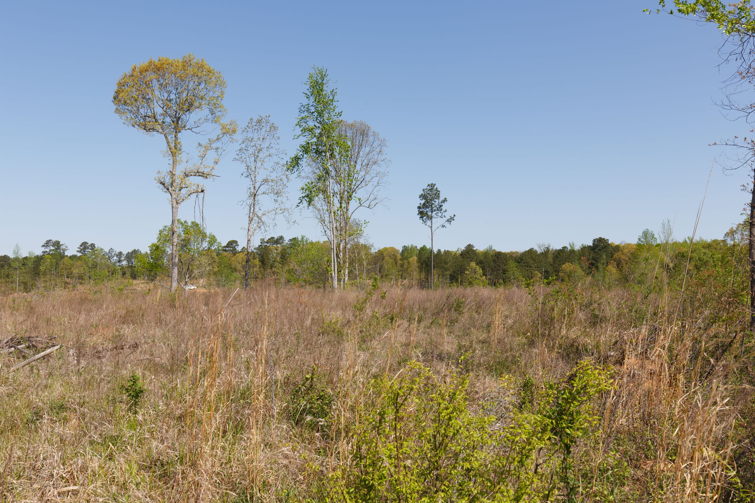 Twin Rivers Tract 8 photo 6