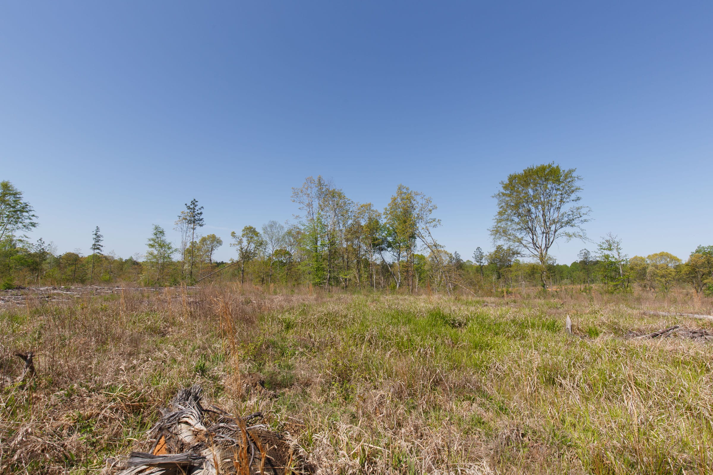 Twin Rivers Tract 8 photo 16