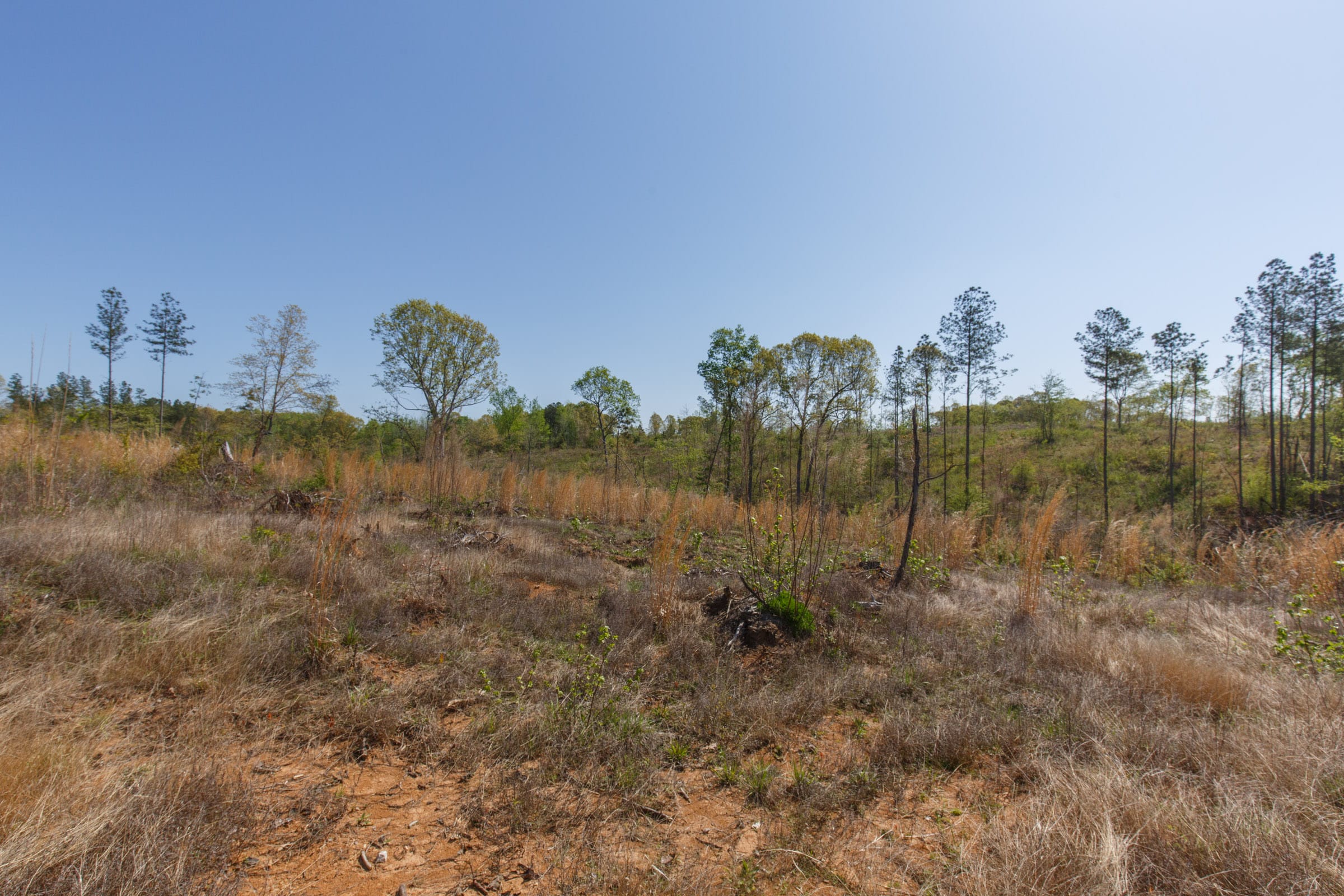 Twin Rivers Tract 8 photo 18