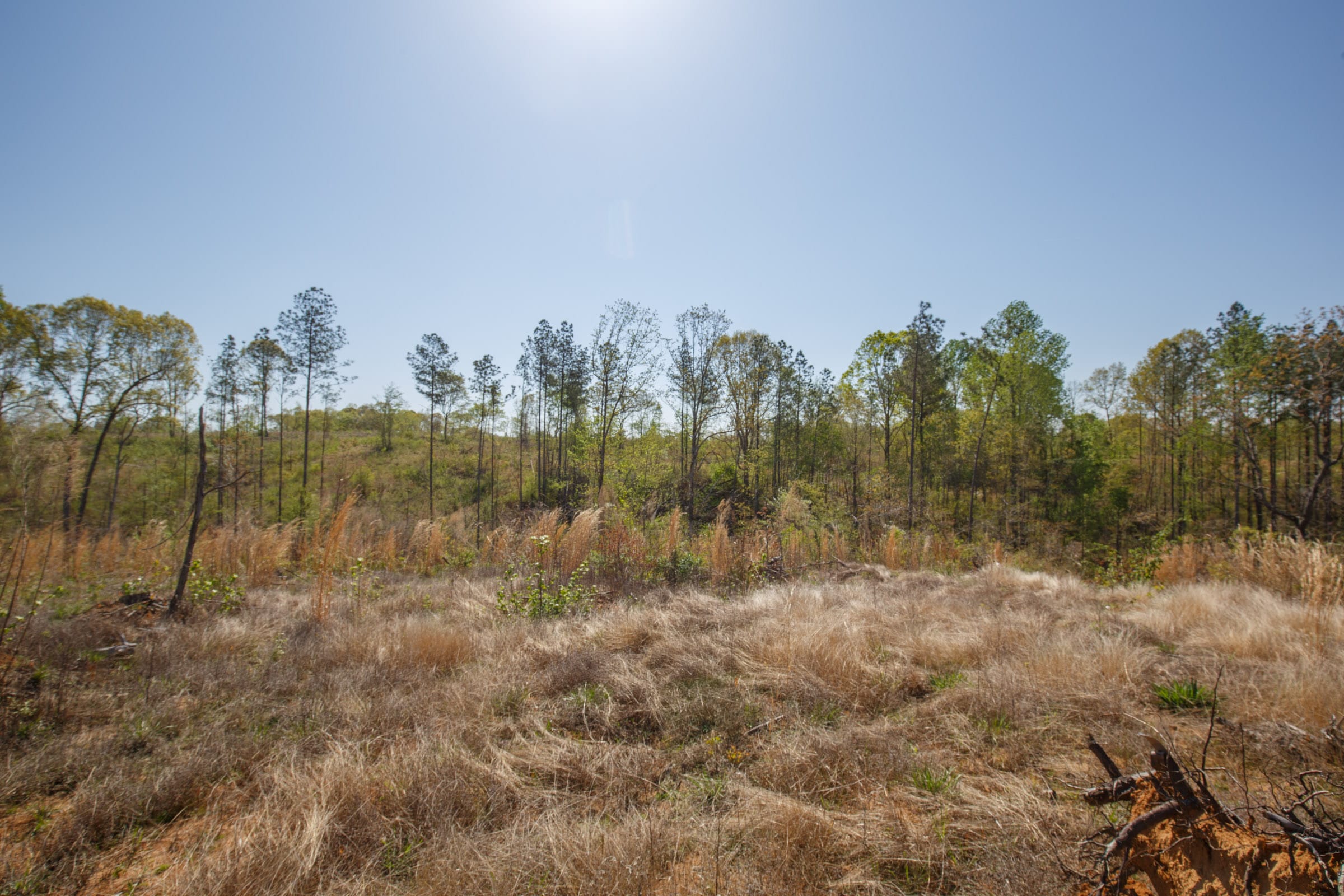 Twin Rivers Tract 8 photo 20