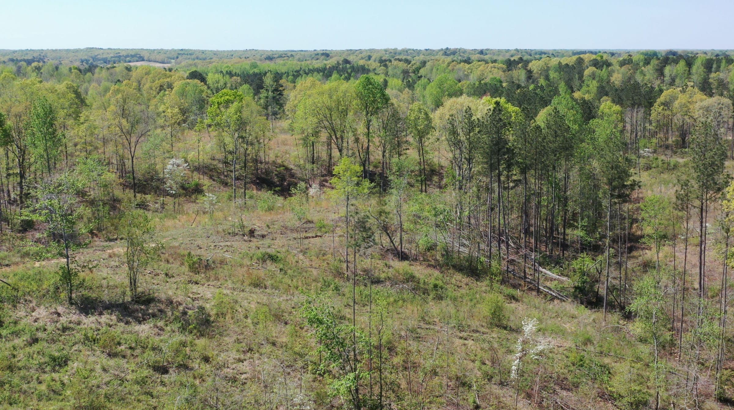 Twin Rivers Tract 8 photo 19