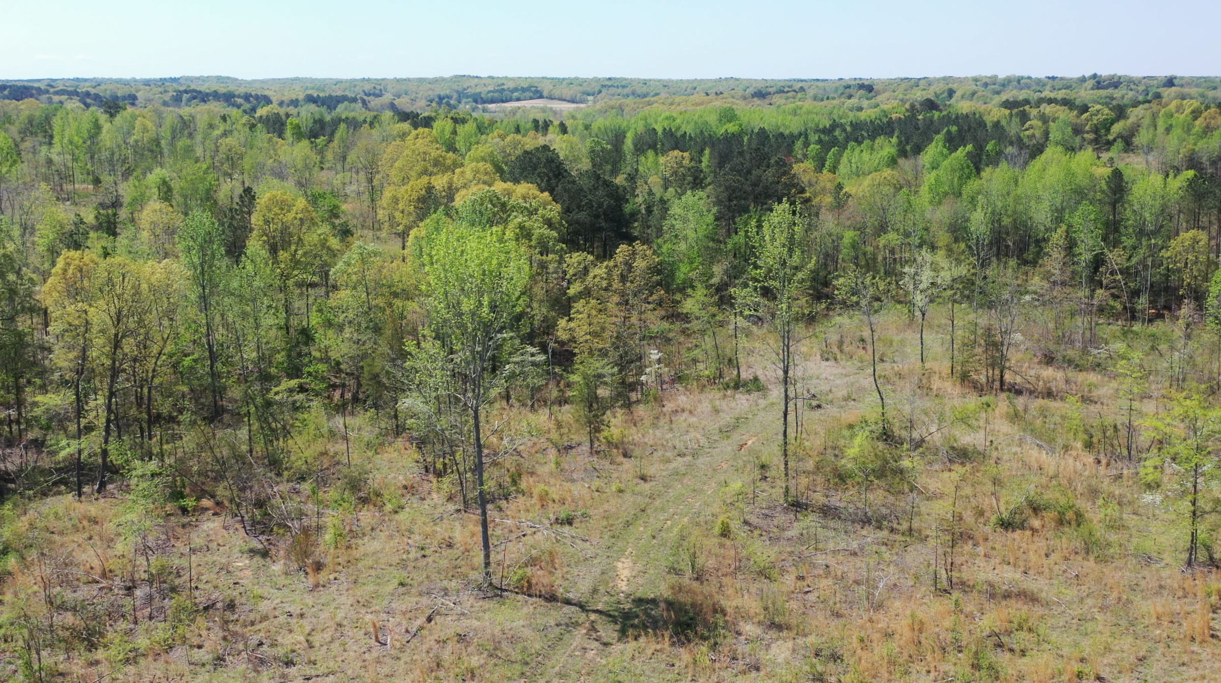 Twin Rivers Tract 8 photo 17