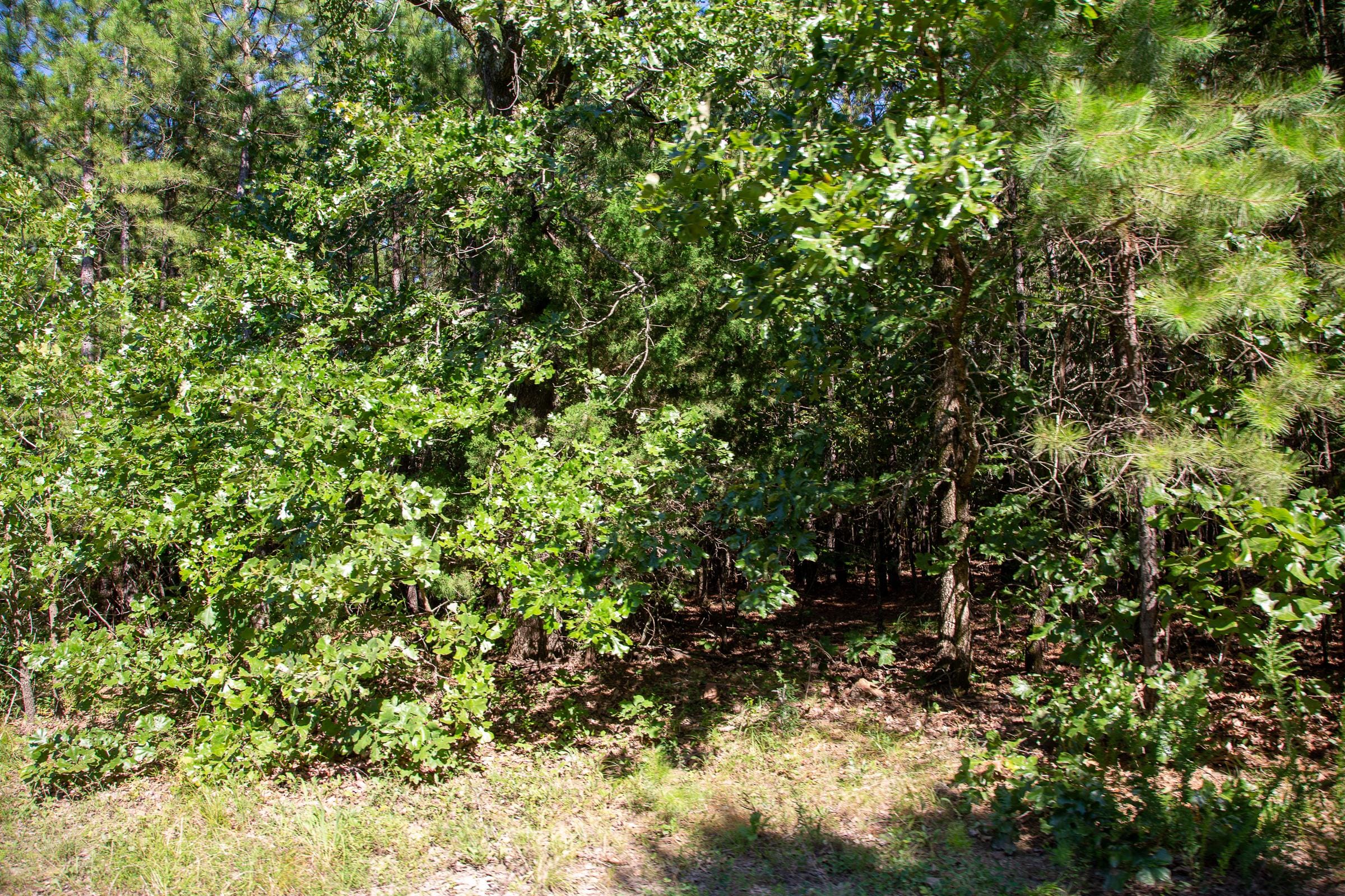 Tyler Stone Ranch Tract 9 photo 3