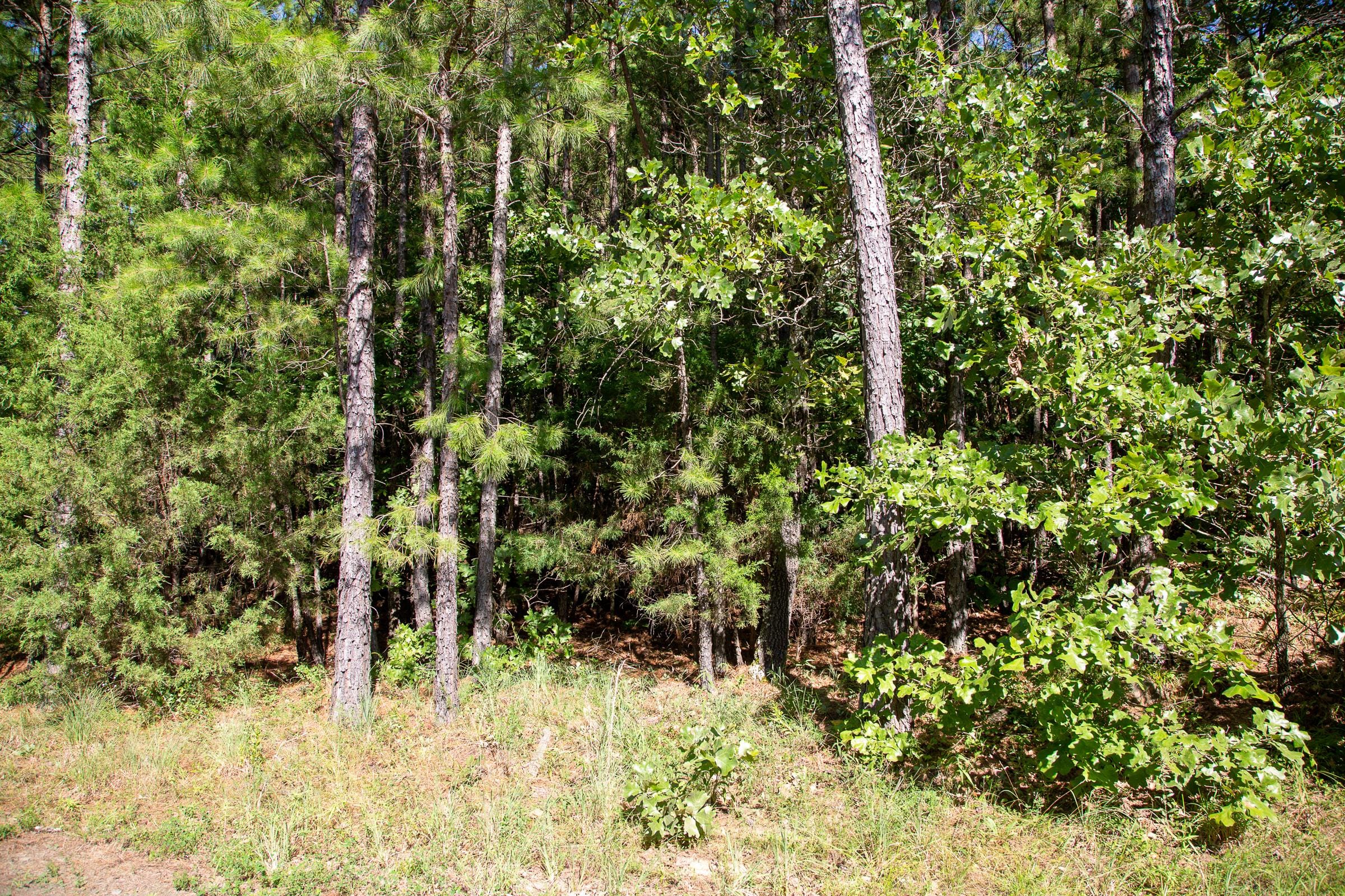 Tyler Stone Ranch Tract 9 photo 4