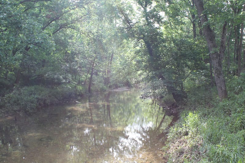 Cedar Ridge Ranch Tract 11 photo 2