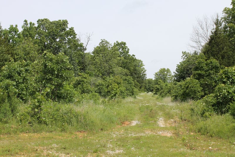 Cedar Ridge Ranch Tract 11 photo 1