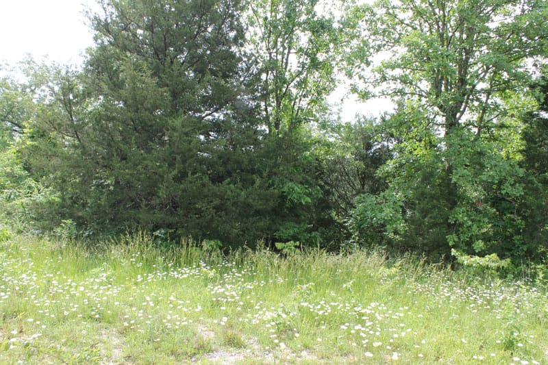 Cedar Ridge Ranch Tract 11 photo 5