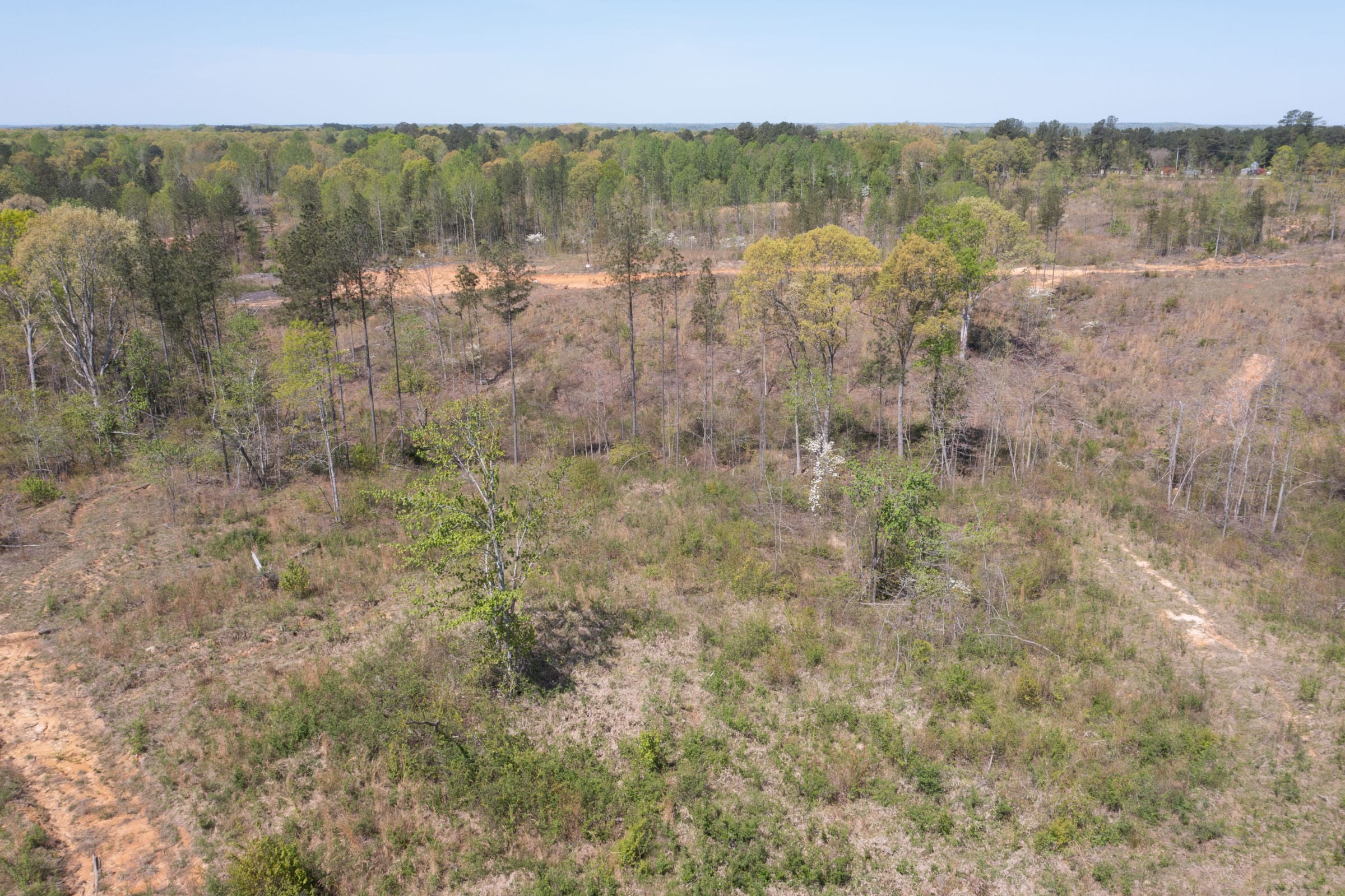 Twin Rivers Tract 7 photo 10