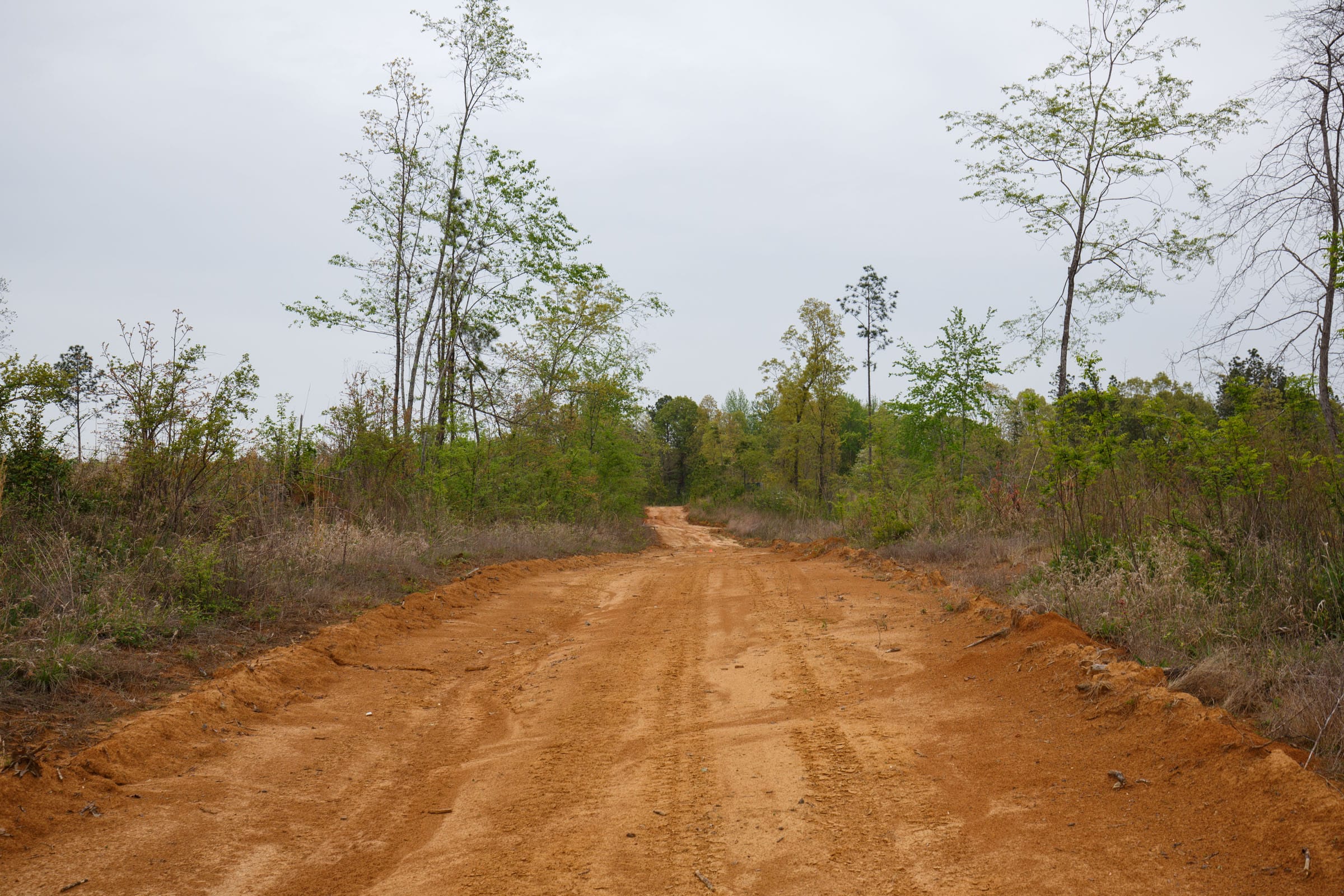 Twin Rivers Tract 7 photo 11