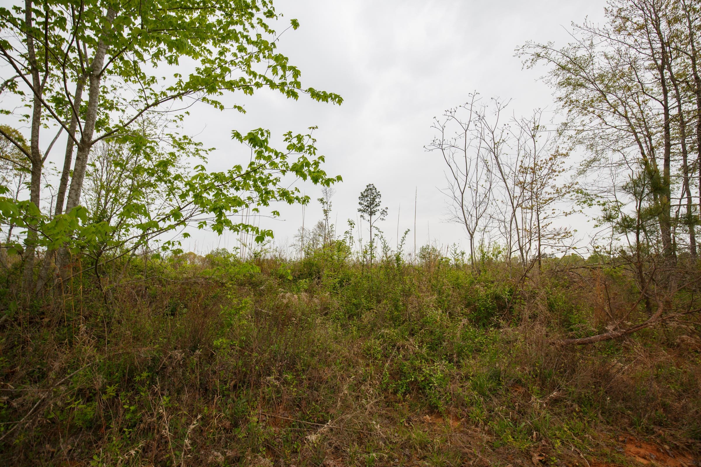Twin Rivers Tract 7 photo 4