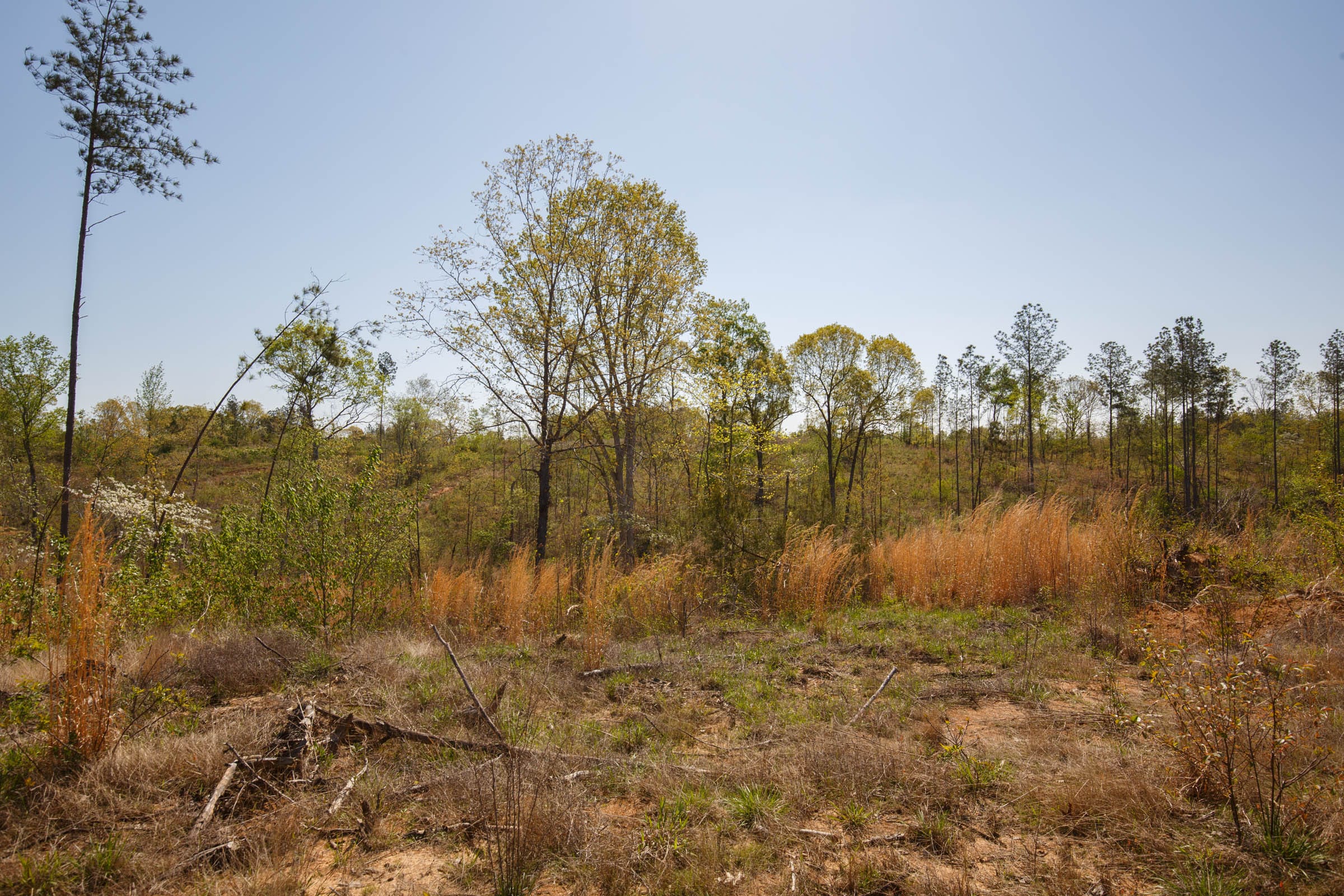 Twin Rivers Tract 7 photo 8