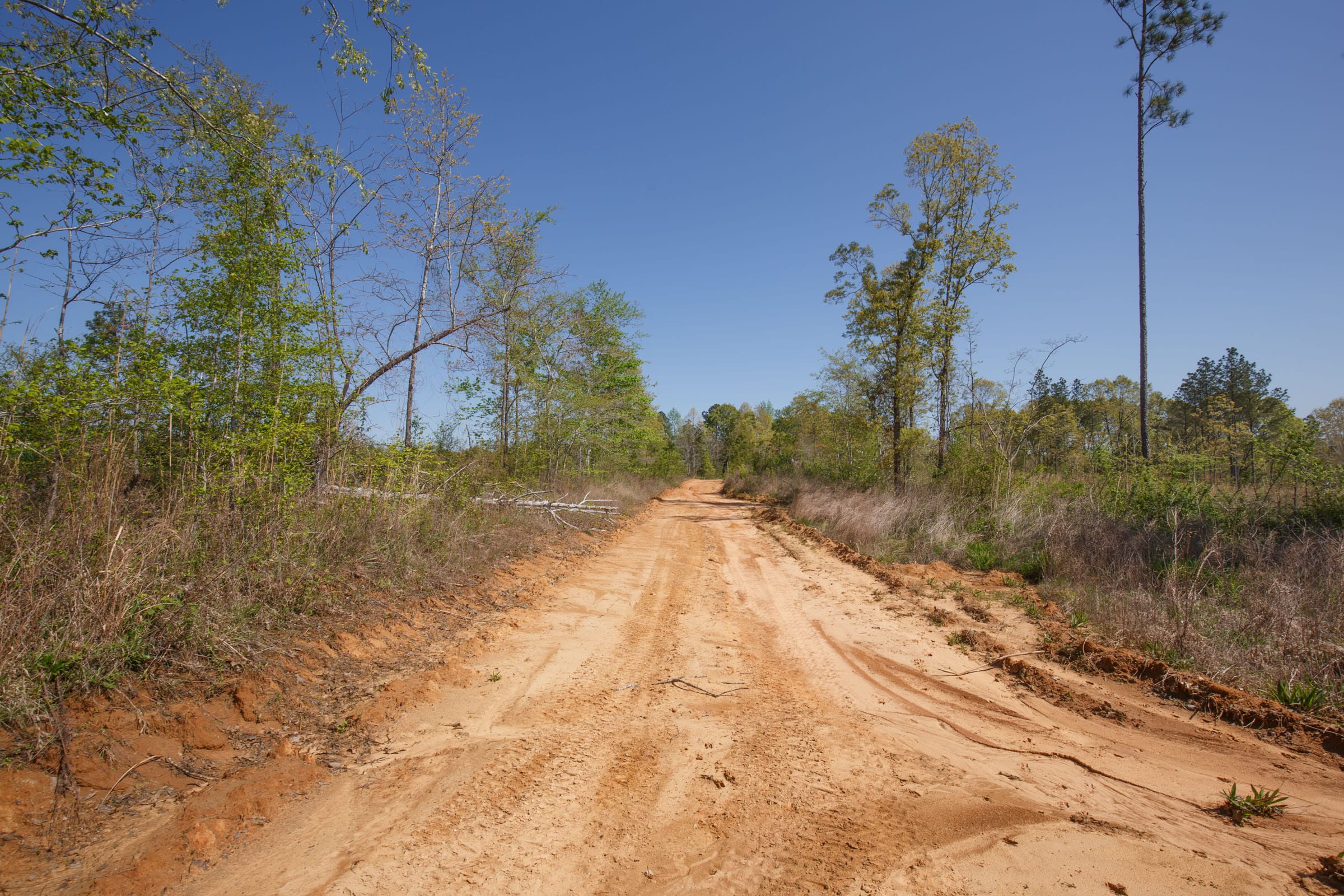 Twin Rivers Tract 7 photo 6